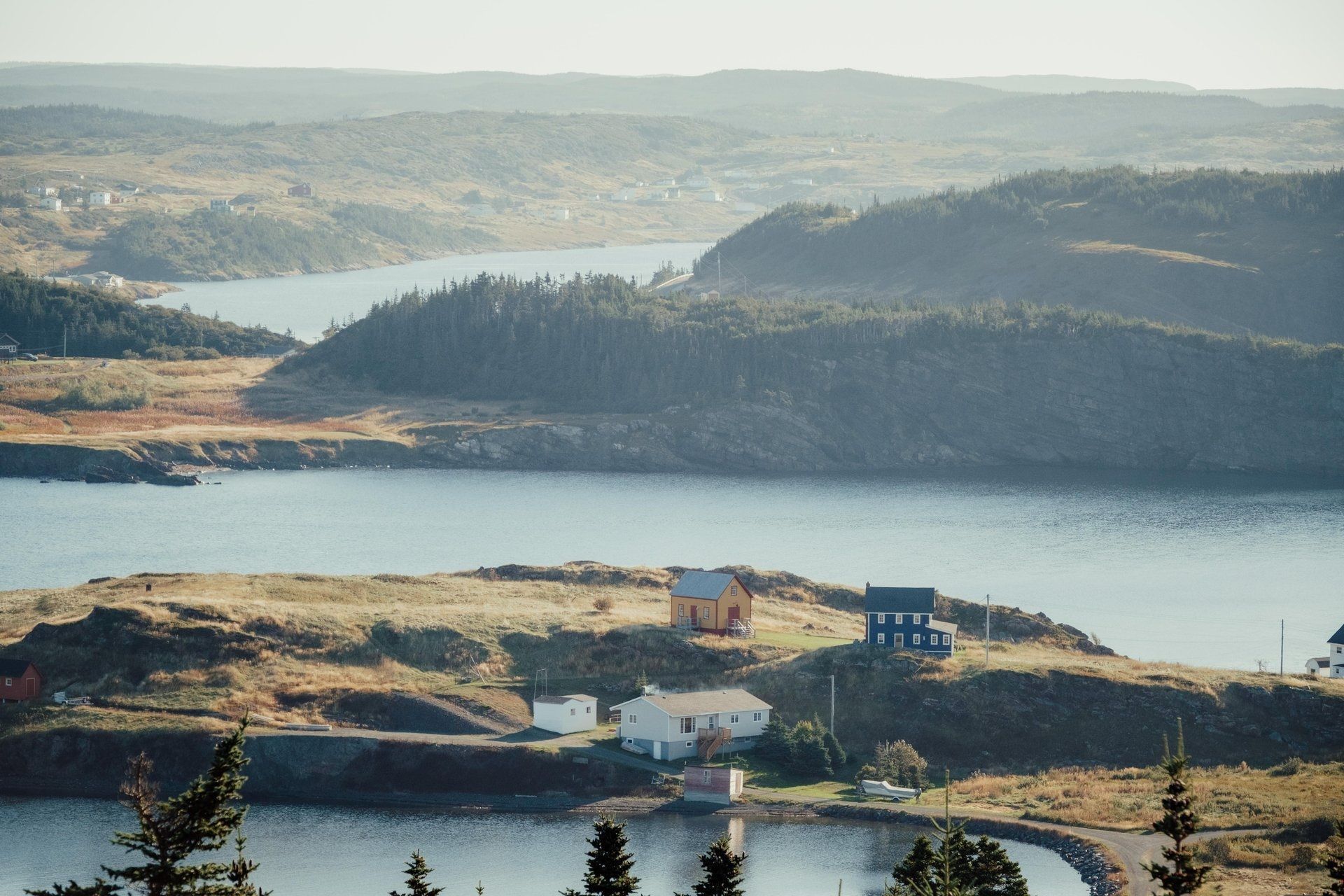 Een serene baai en heuvelachtige kustlijn op de Bonavista Peninsula, Newfoundland met een klein dorpje en kalm water in het zachte daglicht.