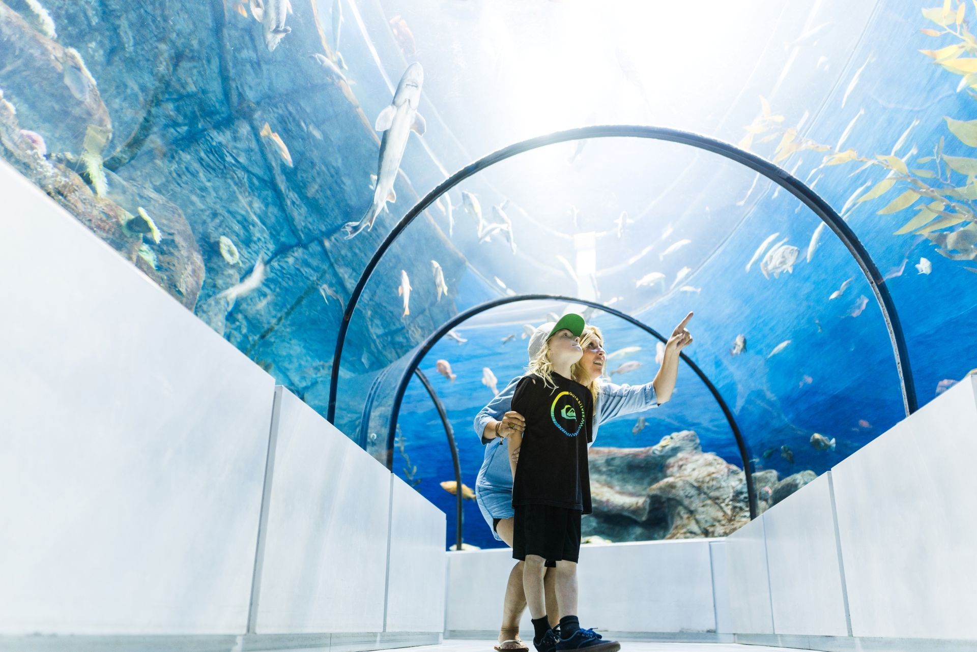 Kind en moeder in de tunnelaquarium van Aquarium du Quebec kijken naar blauwe vissen boven zich.
