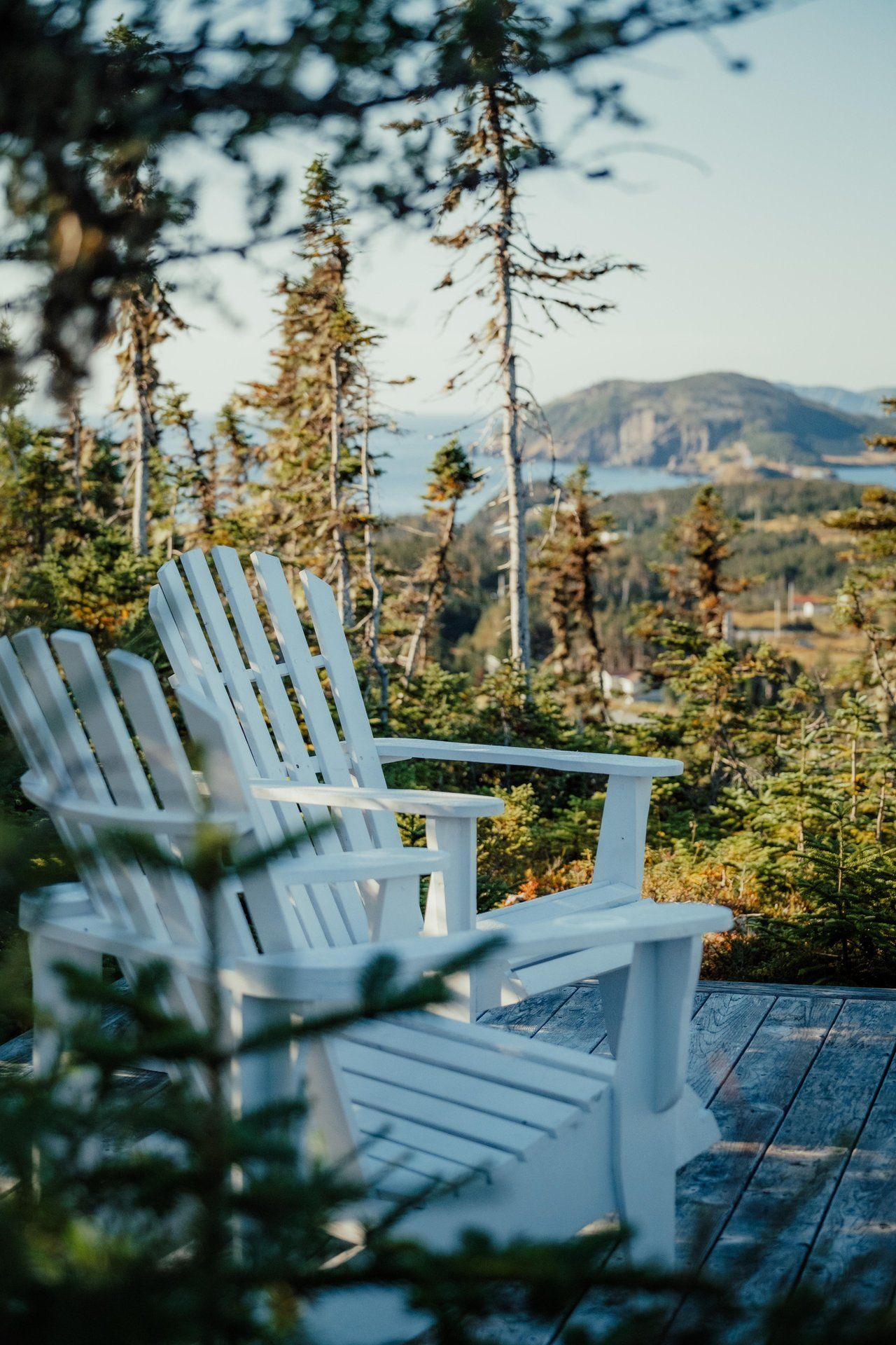 Witte Adirondack-stoelen op een terras van Fisher's Loft Inn in Port Rexton met uitzicht op bomen, bergen en een meer in de warme zon.