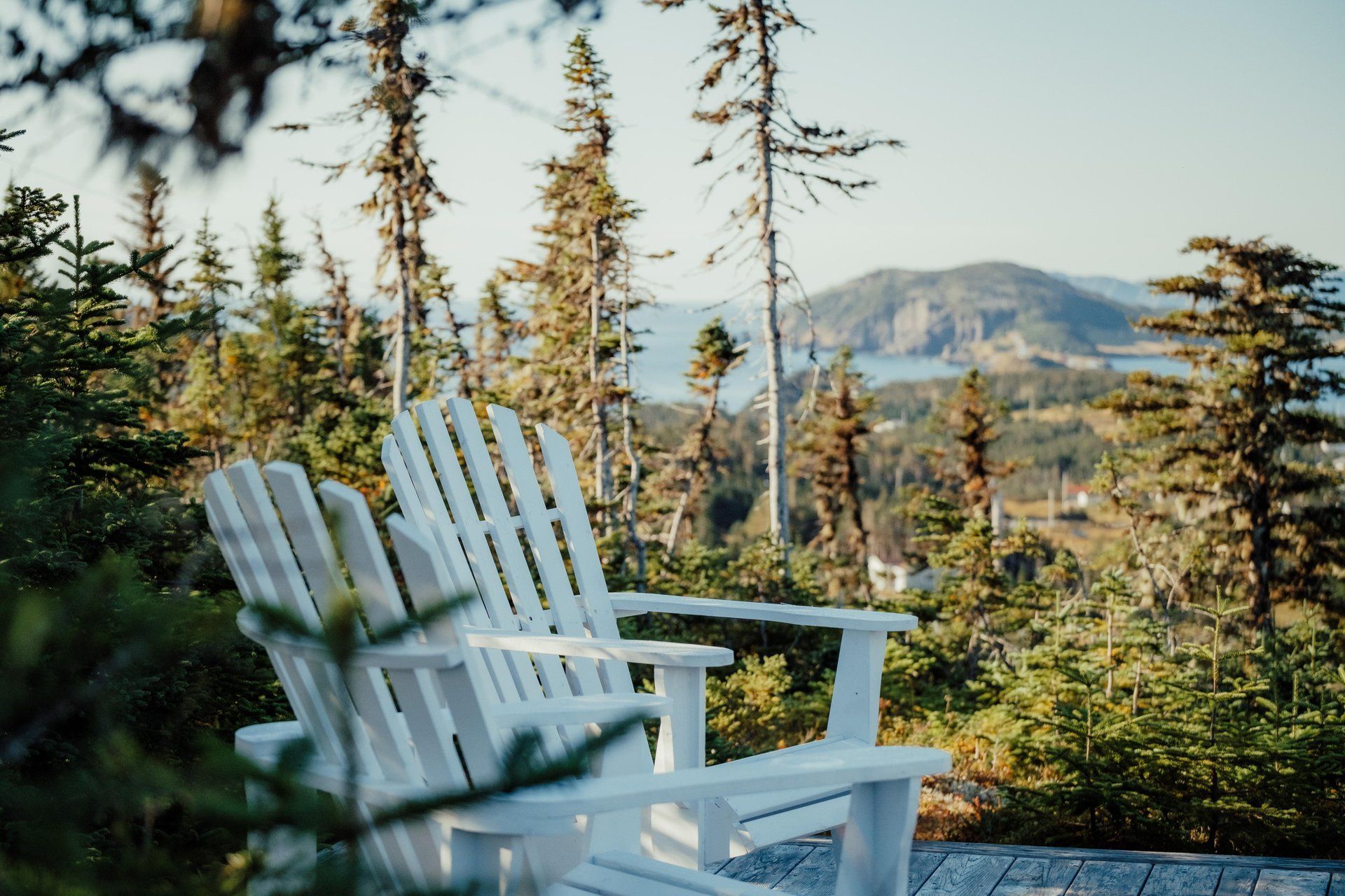 Twee witte Adirondack-stoelen op een terras van Fisher's Loft Inn in Port Rexton met uitzicht op dennenbomen en de bergen in de verte.