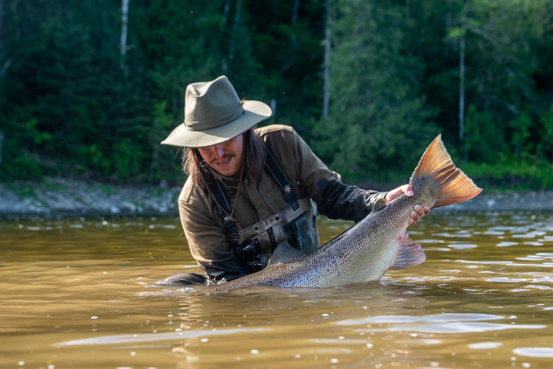 Een visser met een hoed houdt een grote zalm vast in de Restigouche River in New Brunswick, Canada, met een beboste oever op de achtergrond.