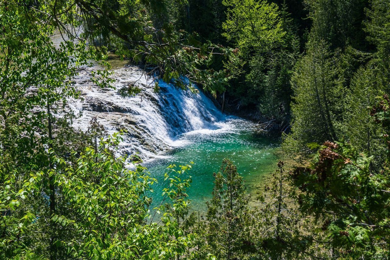 Een kleine waterval die uitmondt in een turquoise poel, omgeven door een dicht groen bos.