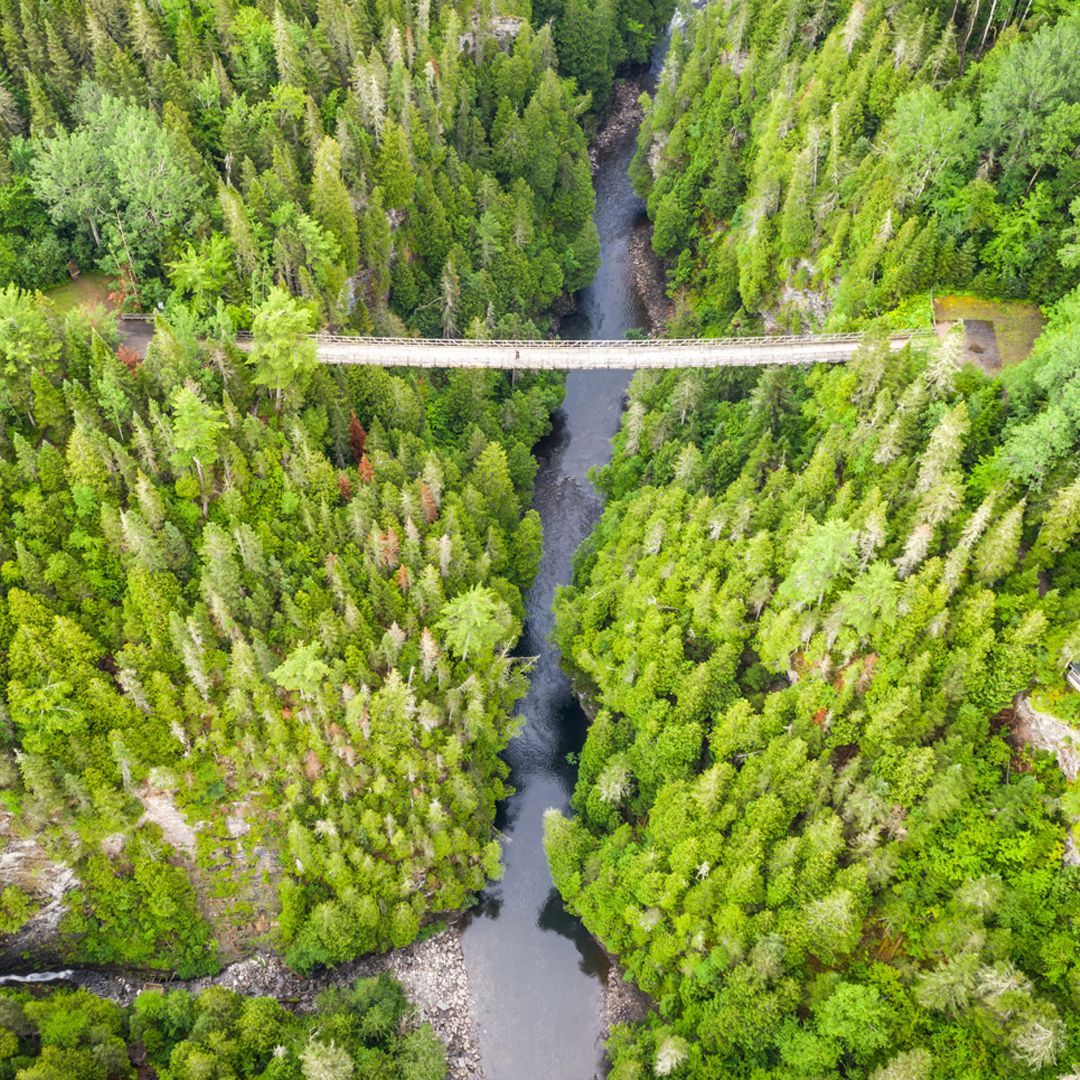 Luchtfoto van een bos in Quebec, Canada, met een smalle rivier en een kleine brug eroverheen.