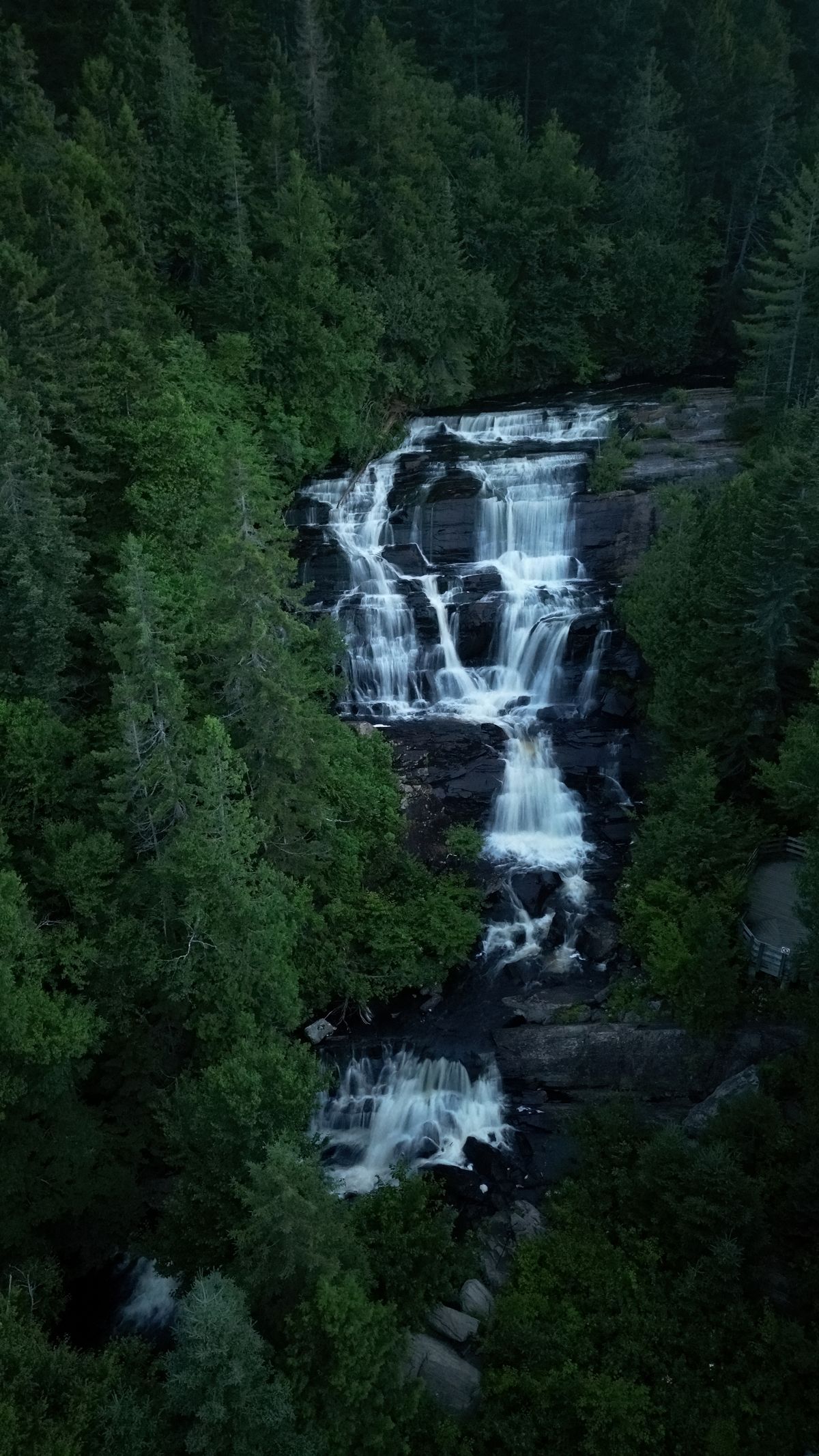 Hoge witte waterval Chute aux Rats in Parc national du Mont-Tremblant in Canada die door een dicht, donkergroen bos naar beneden stort.