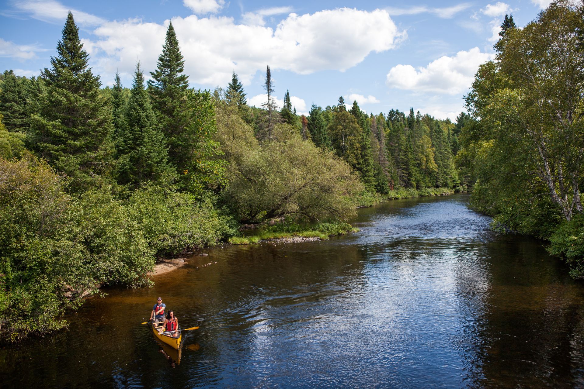Een kano in Canada vaart over een kalme rivier, omgeven door een dicht groen bos, onder een blauwe hemel met wolken.