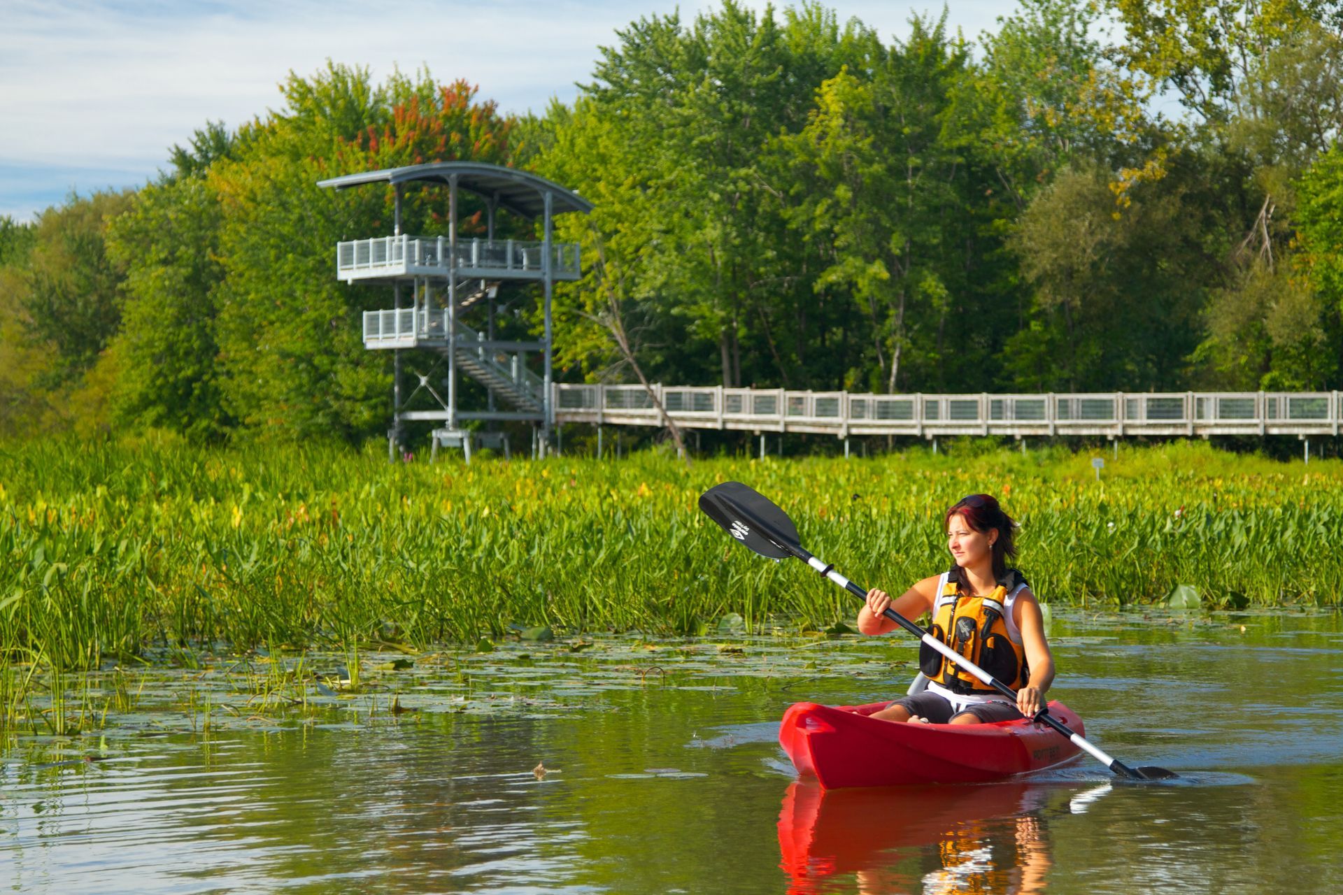 Een persoon peddelt in een kajak in Canada op een rivier nabij een moeras en een uitkijktoren onder groene bomen.