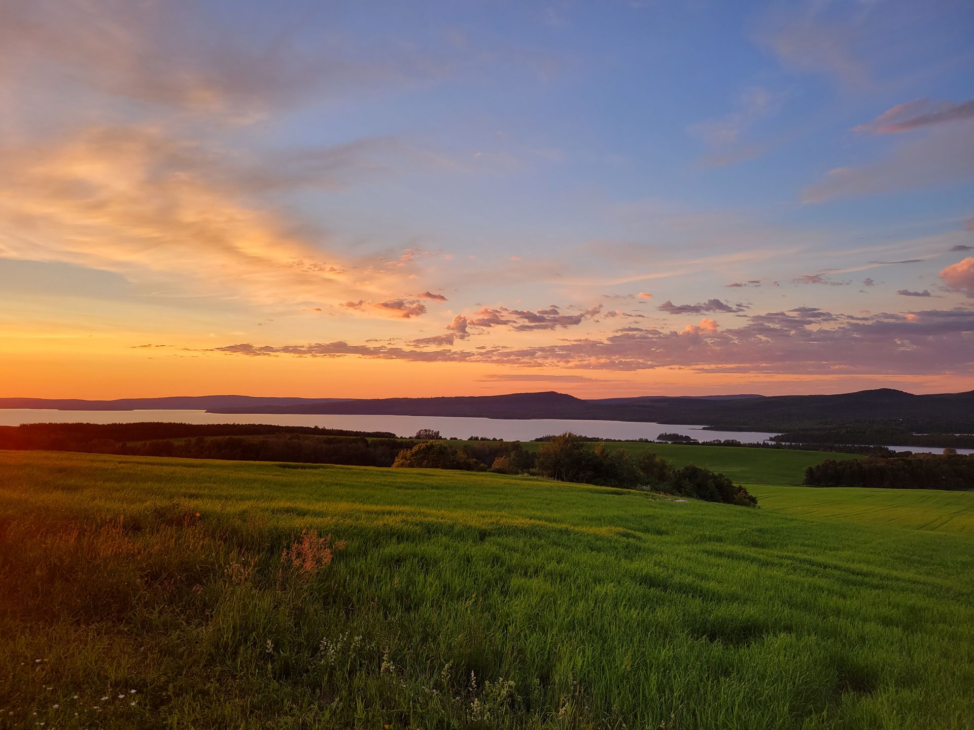 Zonsondergang boven een groen veld en het meer Lac Matapédia in Quebec, Canada in de verte, met roze-oranje wolken aan de hemel.