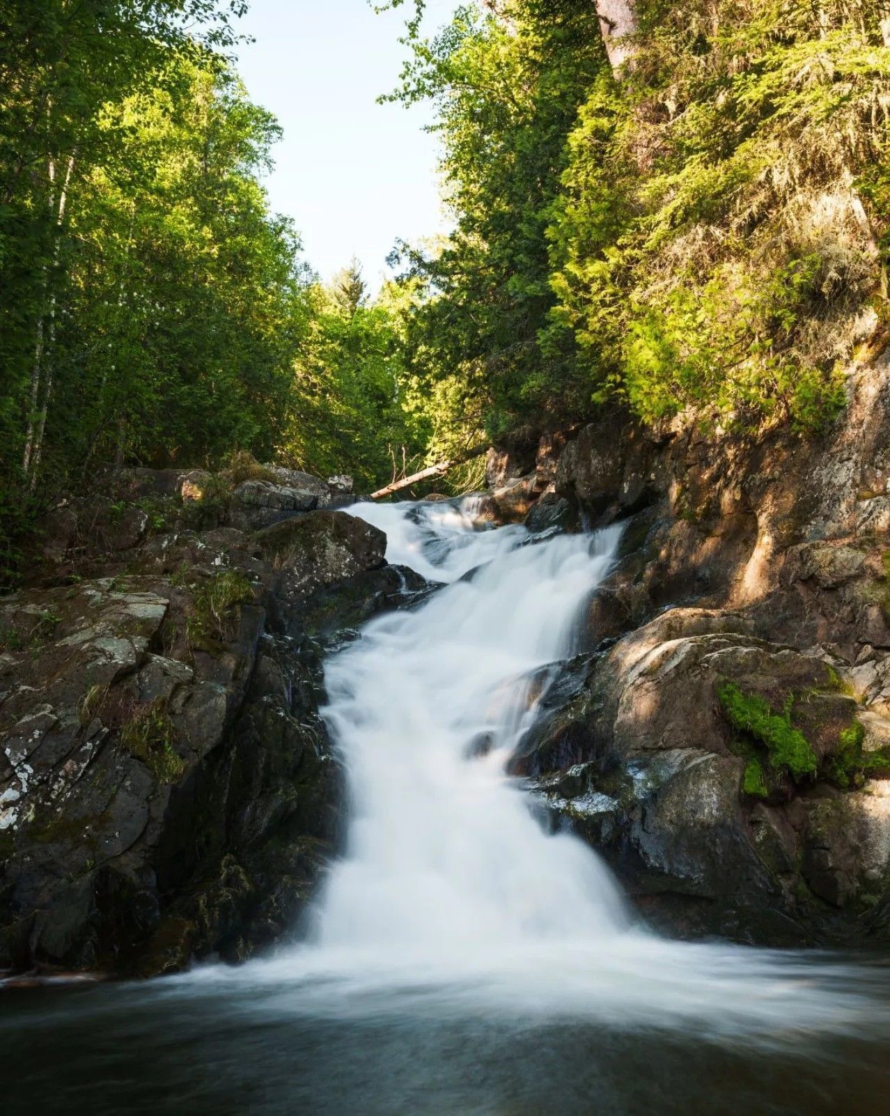 De waterval Chute Baie-Saint-Paul in Charlevoix, Canada, in het bos stort zich over donkere rotsen in een poel, omlijst door groene bomen in het zonlicht.