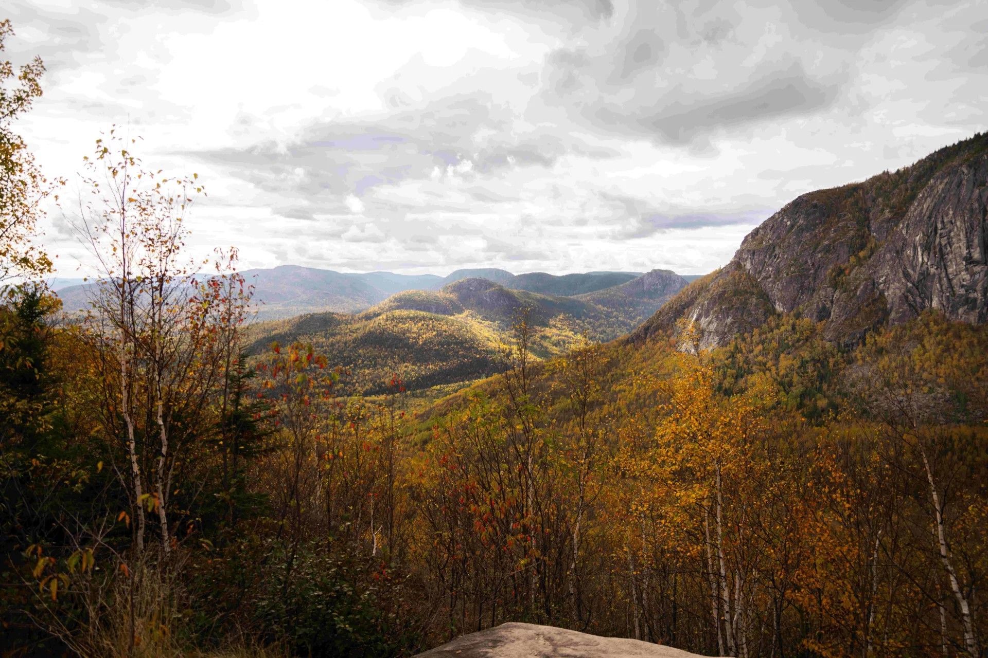 Herfstachtig berglandschap van Parc national des Grands-Jardins in Canada met goudkleurige bomen, rotsachtige kliffen en een bewolkte hemel.