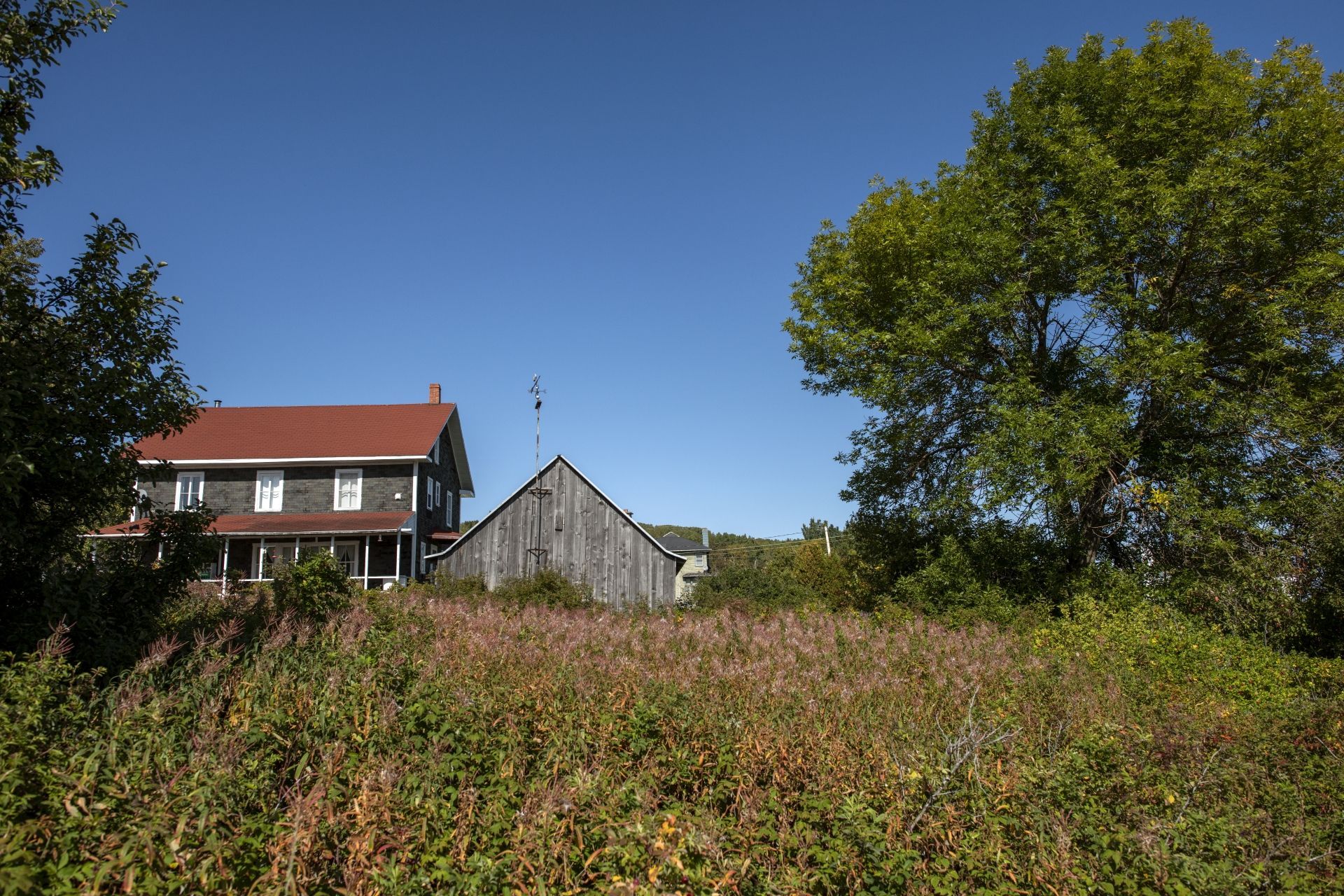 Een landelijke boerderij en schuur in Quebec, Canada, naast een wild, overwoekerd veld onder een heldere blauwe hemel.