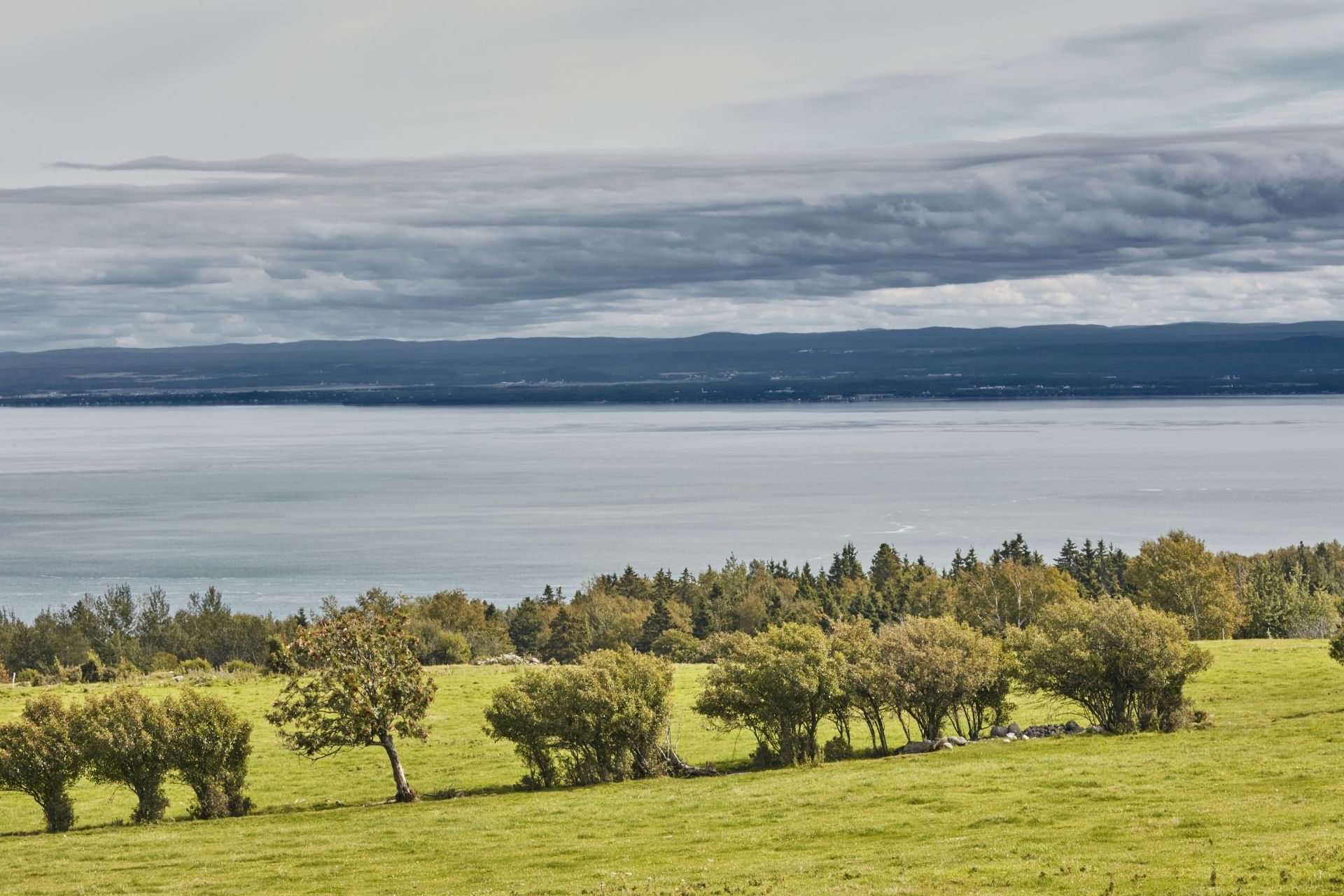 Een met gras begroeide heuvel met struiken, die uitkijkt over een kalme rivier in Quebec, Canada, onder een bewolkte hemel.