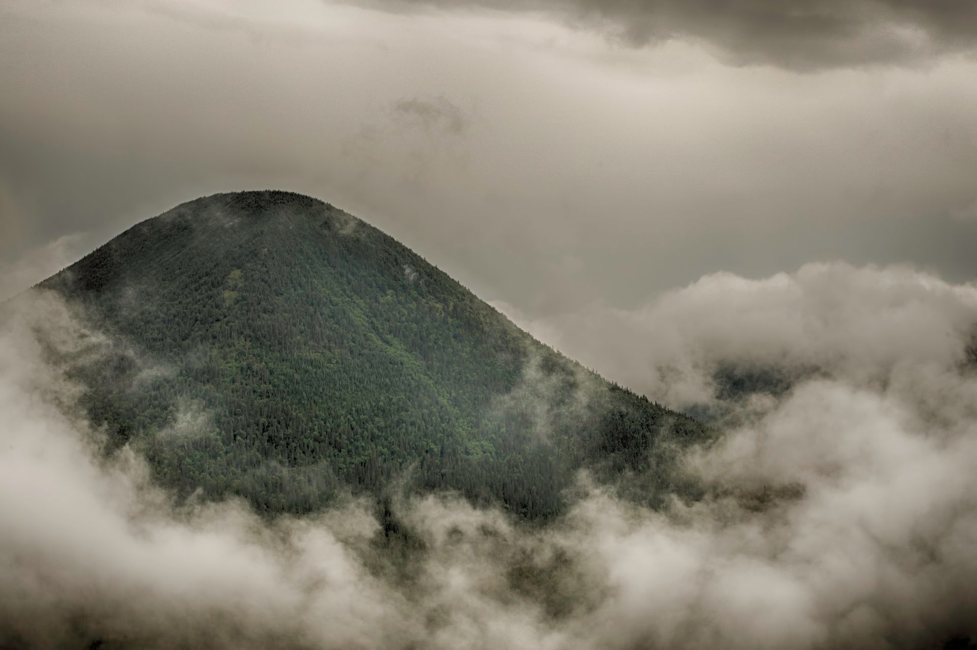 De met wolken bedekte groene berg Mont Coleman in het Réserve faunique de Matane onder een grijze hemel.