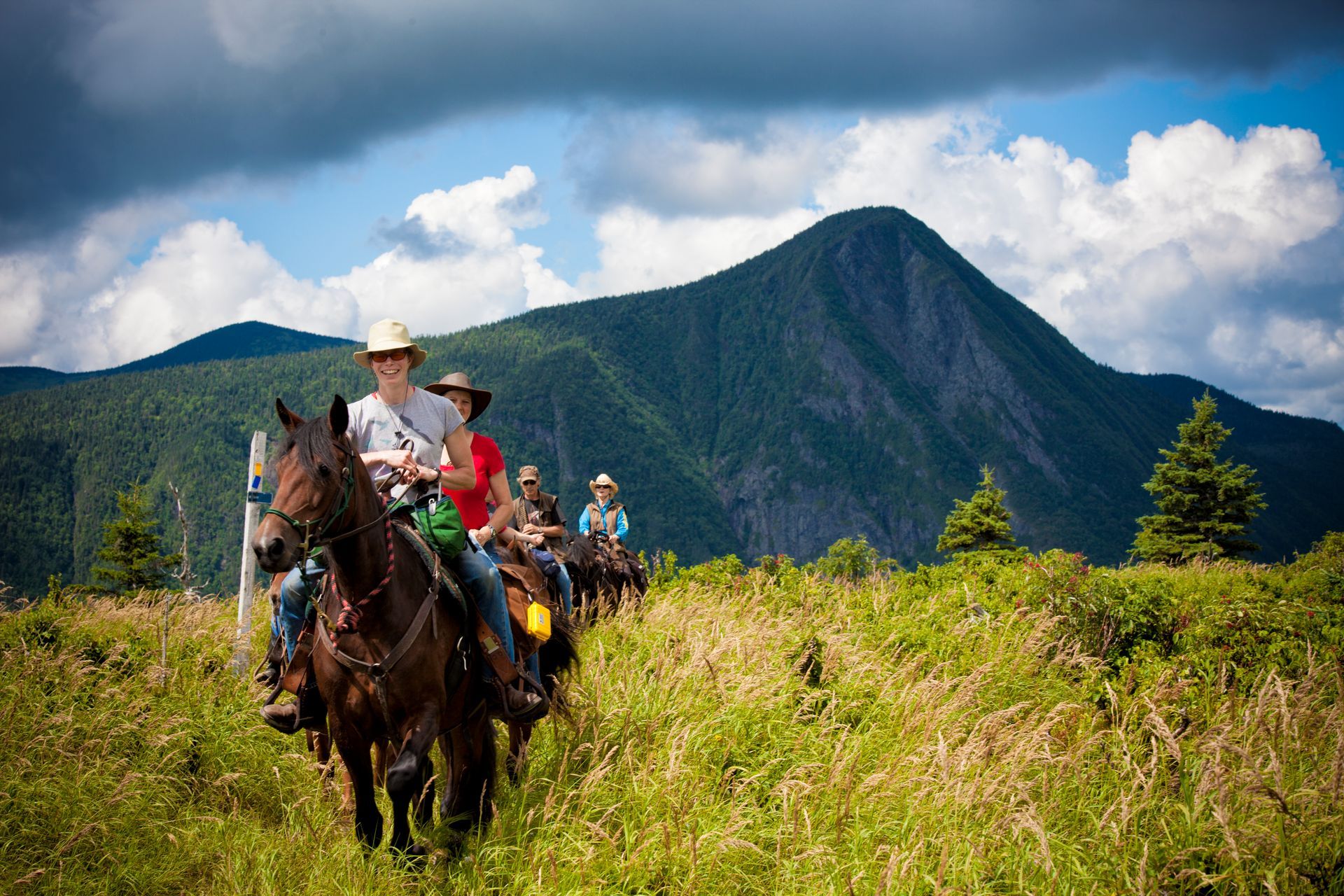 Mensen te paard in Parc national de la Gaspésie, Quebec Canada, over een graspad met bergen en wolken op de achtergrond.
