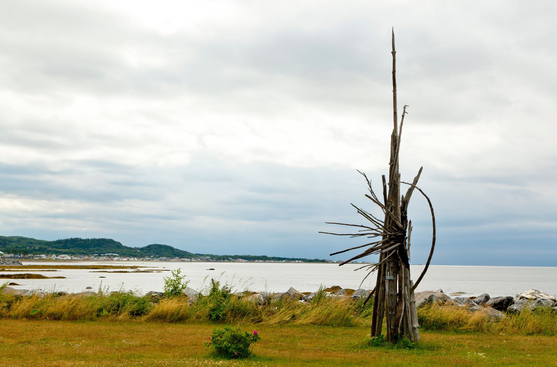 Een spaarzame sculptuur van drijfhout op een grasrijke oever aan het kalme water onder een bewolkte hemel.