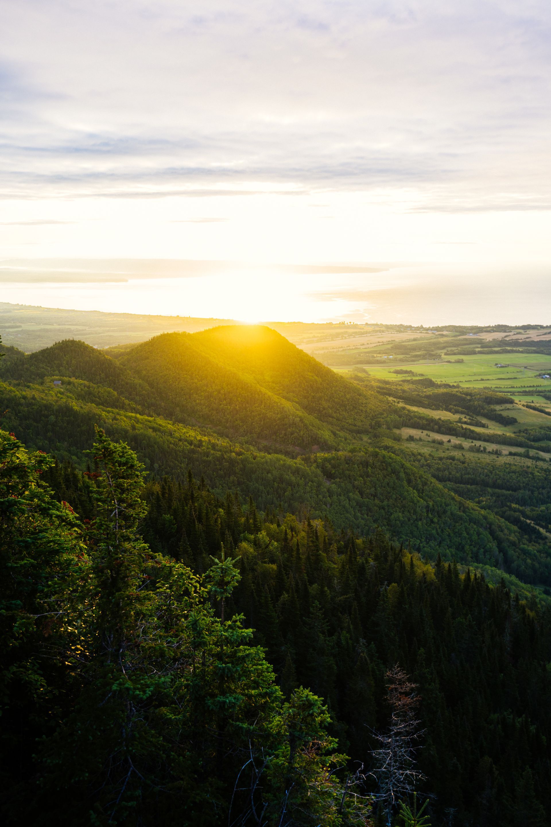 Zonsopgang boven een groene, beboste vallei in Quebec, Canada,met glooiende heuvels en zachte wolken.