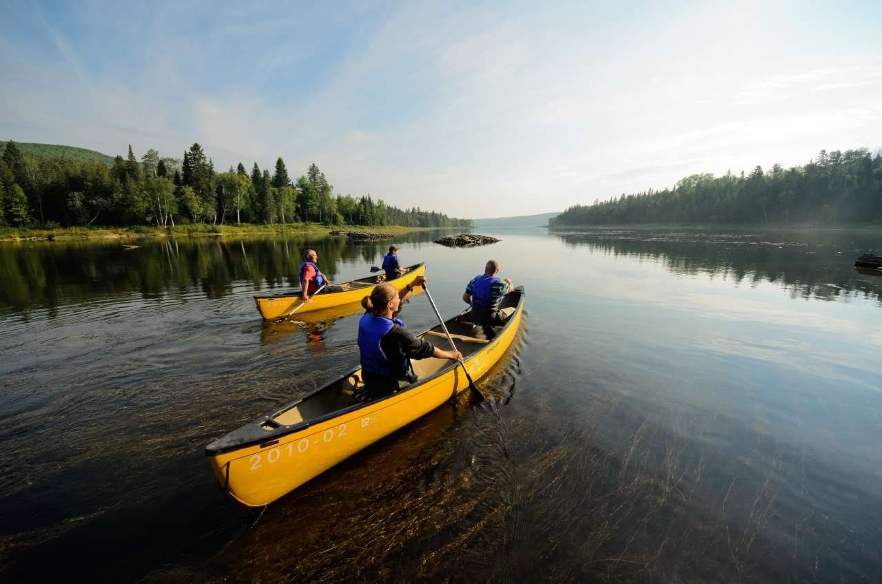 Twee gele kano's met peddelaars op een kalm meer in Quebec, Canada, omgeven door bos onder een heldere hemel.