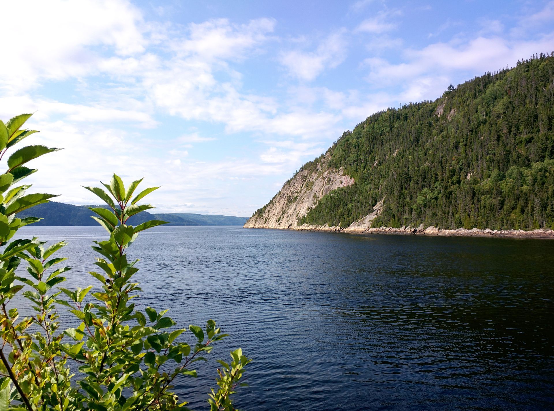 Een kalm blauw fjord in Canada naast een beboste heuvel onder een gedeeltelijk bewolkte hemel, met bladerrijke takken op de voorgrond.