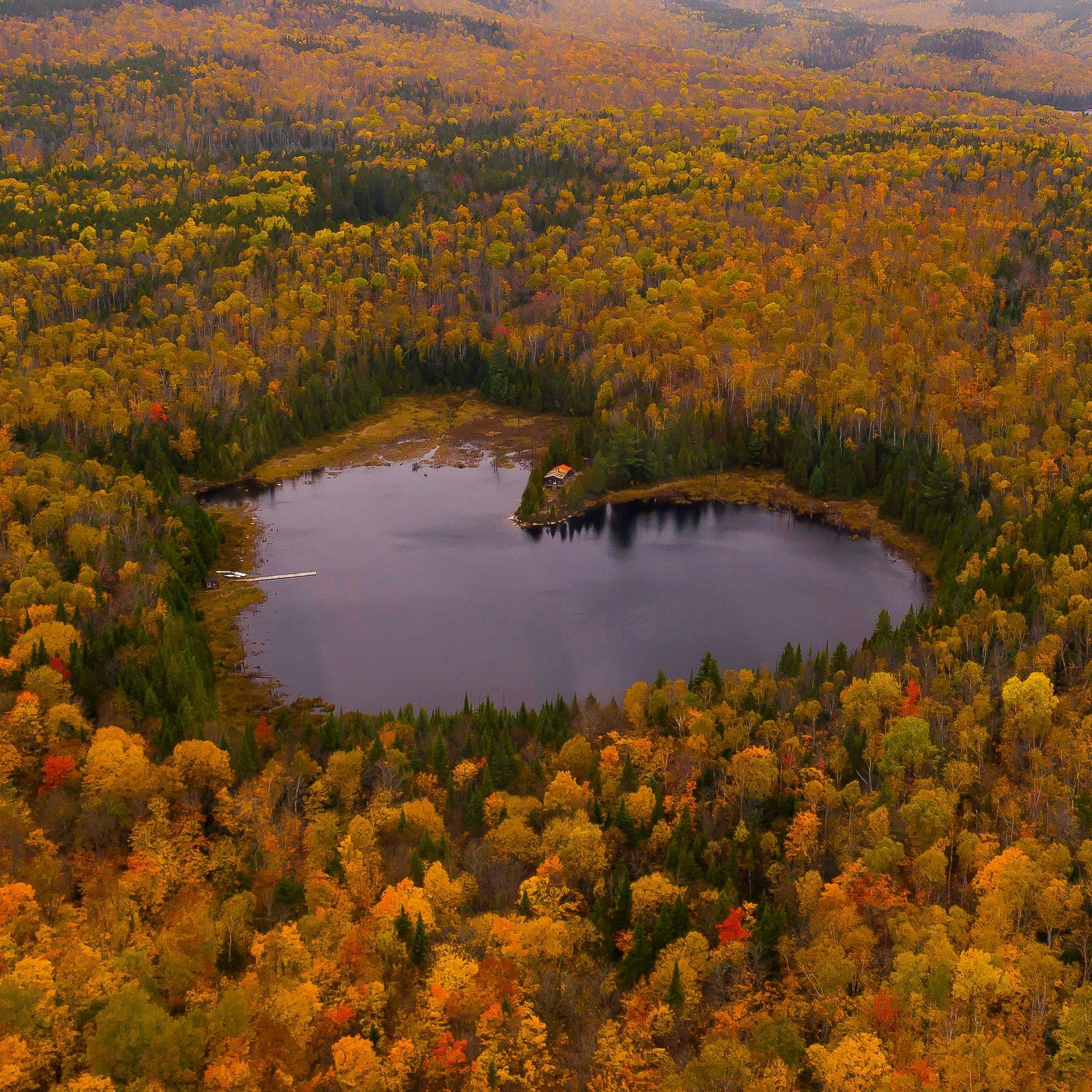 Luchtfoto van een hartvormig meer in Mauricie, Canada, omgeven door een dicht herfstbos in oranje, gele en groene tinten.