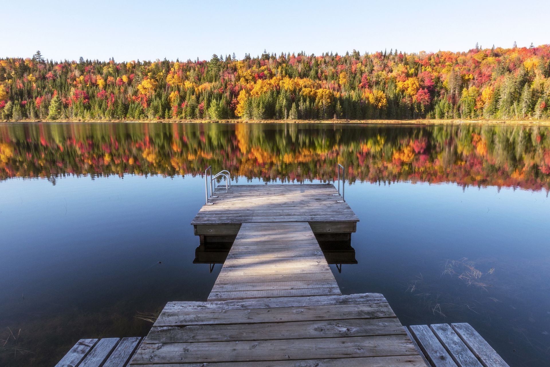 Een houten steiger in Mauricie, Canada, steekt uit in een kalm meer, waar kleurrijke herfstbomen in het water weerspiegeld worden.