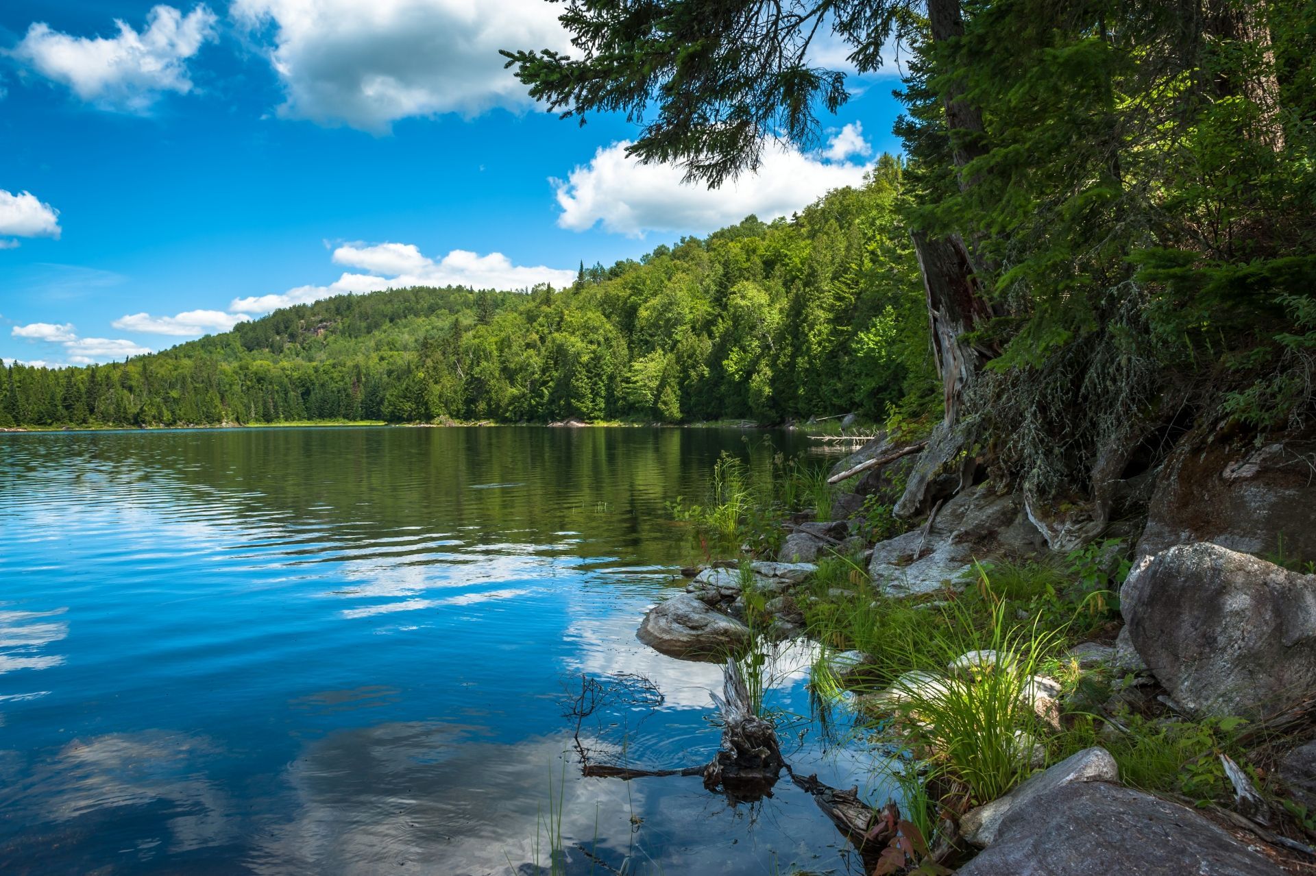 Het kalme meer Lac aux Chevaux in het La Mauricie National Park, Canada, naast een beboste oever onder een heldere hemel, met rotsen en boomwortels op de voorgrond.