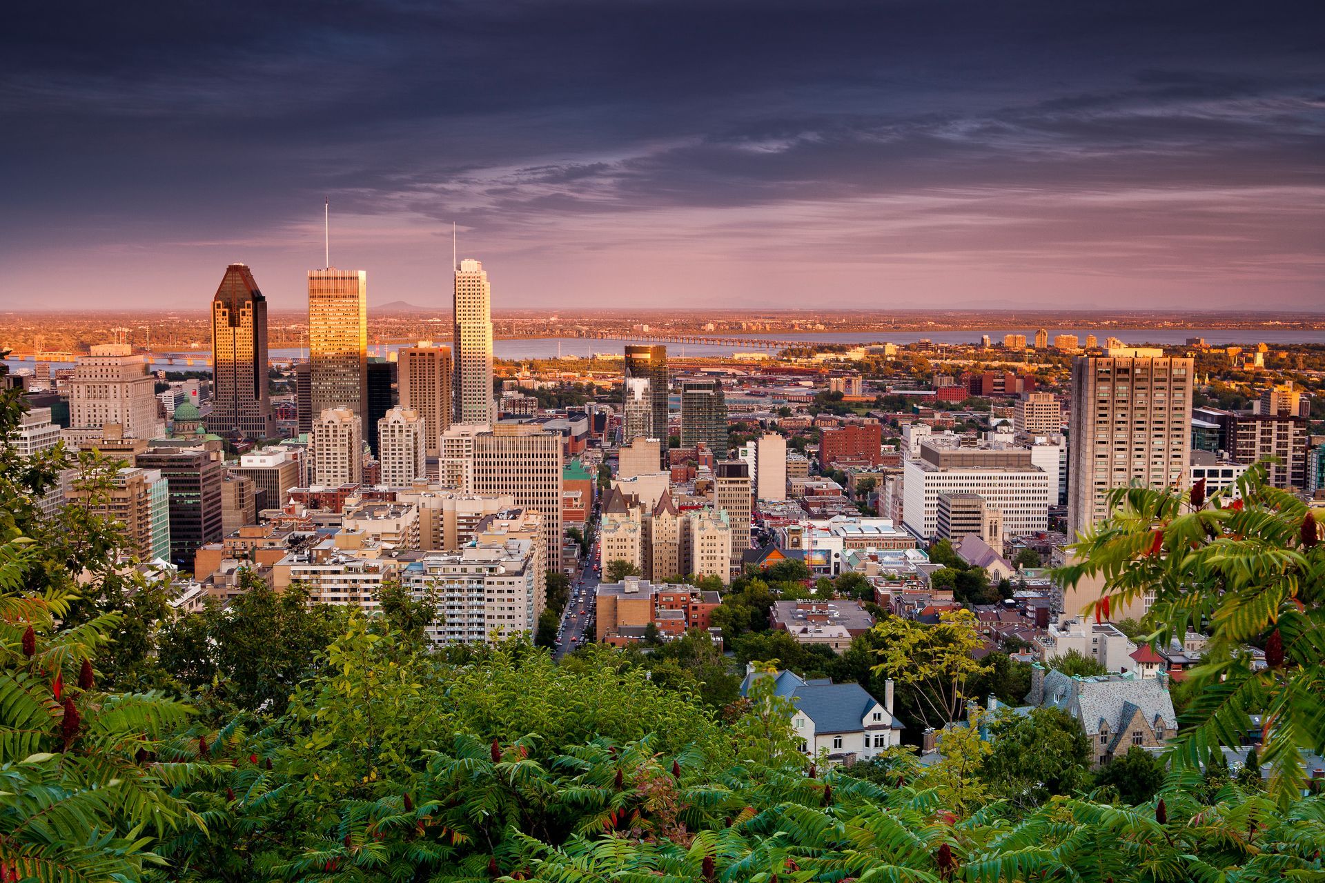 Stadsgezicht op Montréal bij zonsondergang met hoge gebouwen en groen op de voorgrond.