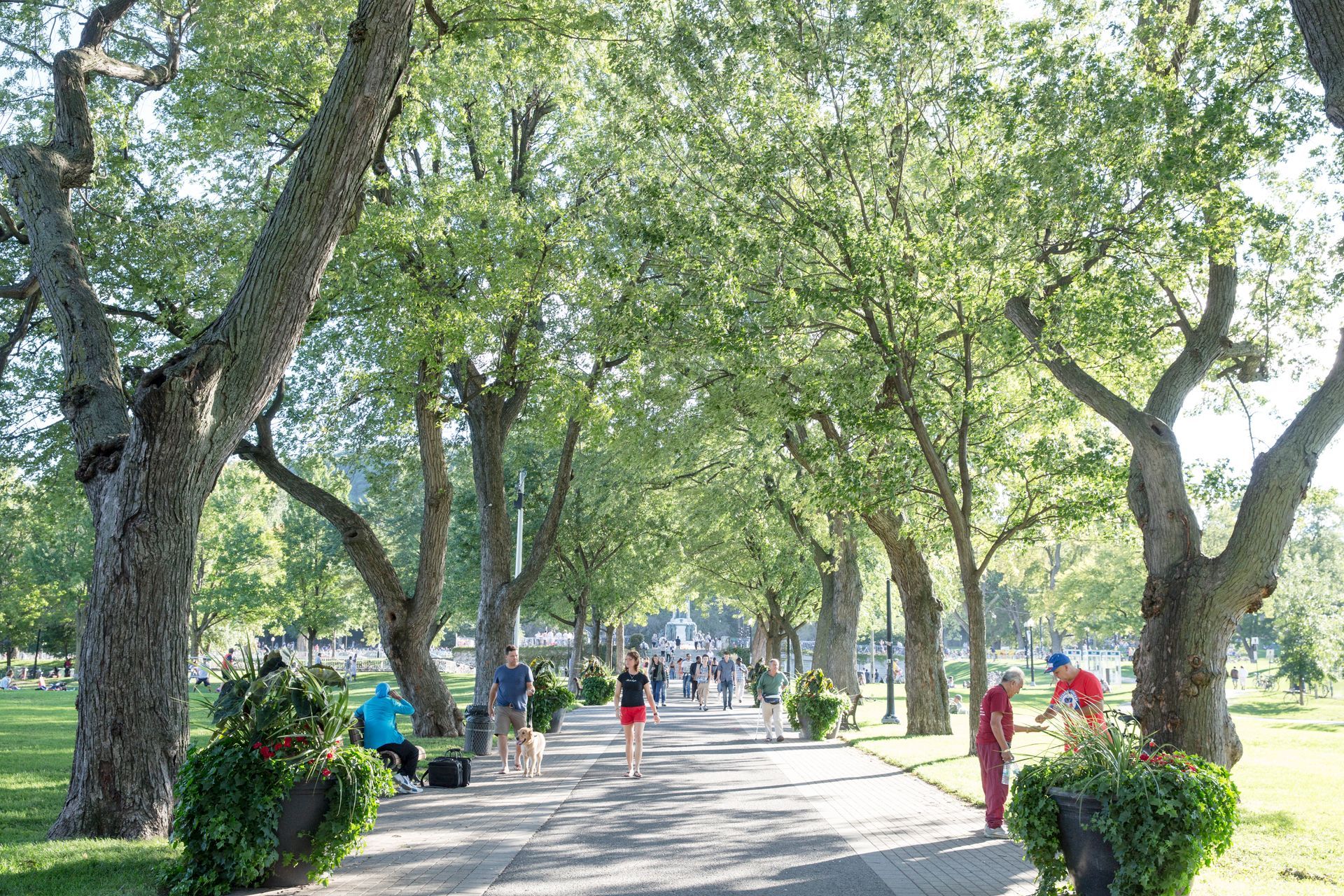 Een met bomen omzoomd parkpad in Montreal met mensen die wandelen en op bankjes zitten in het heldere daglicht.