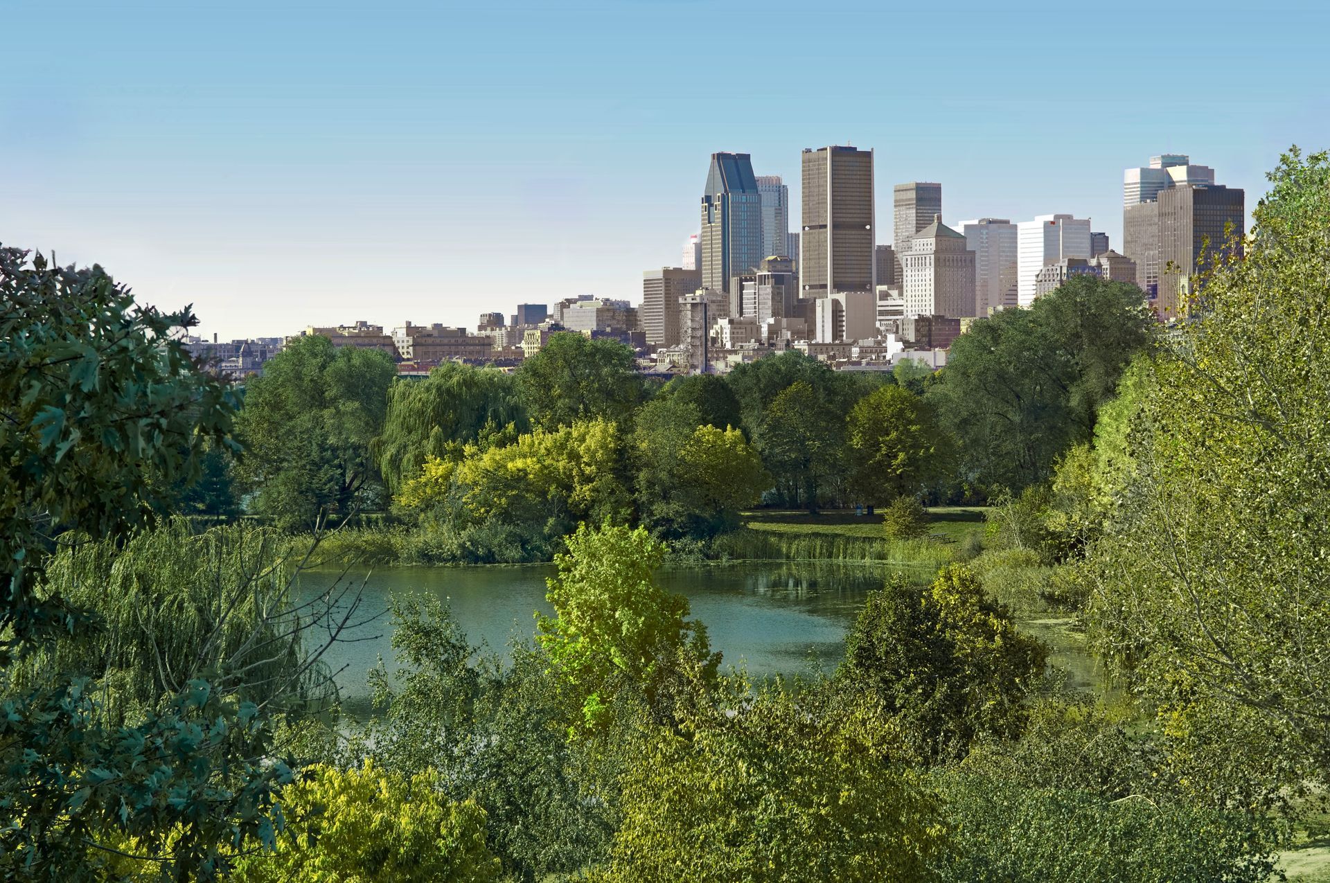 Een park in Montreal met bomen en een vijver, met op de achtergrond de skyline van de stad op een heldere dag.