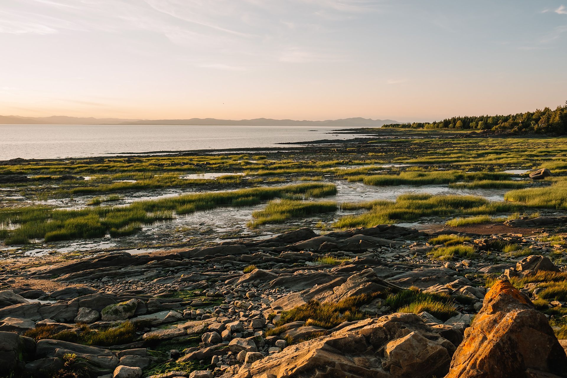 Rotsachtige kustlijn van de St. Lawrence River in Canada bij zonsondergang met kalm water en groen zeewier onder een zachtroze hemel.