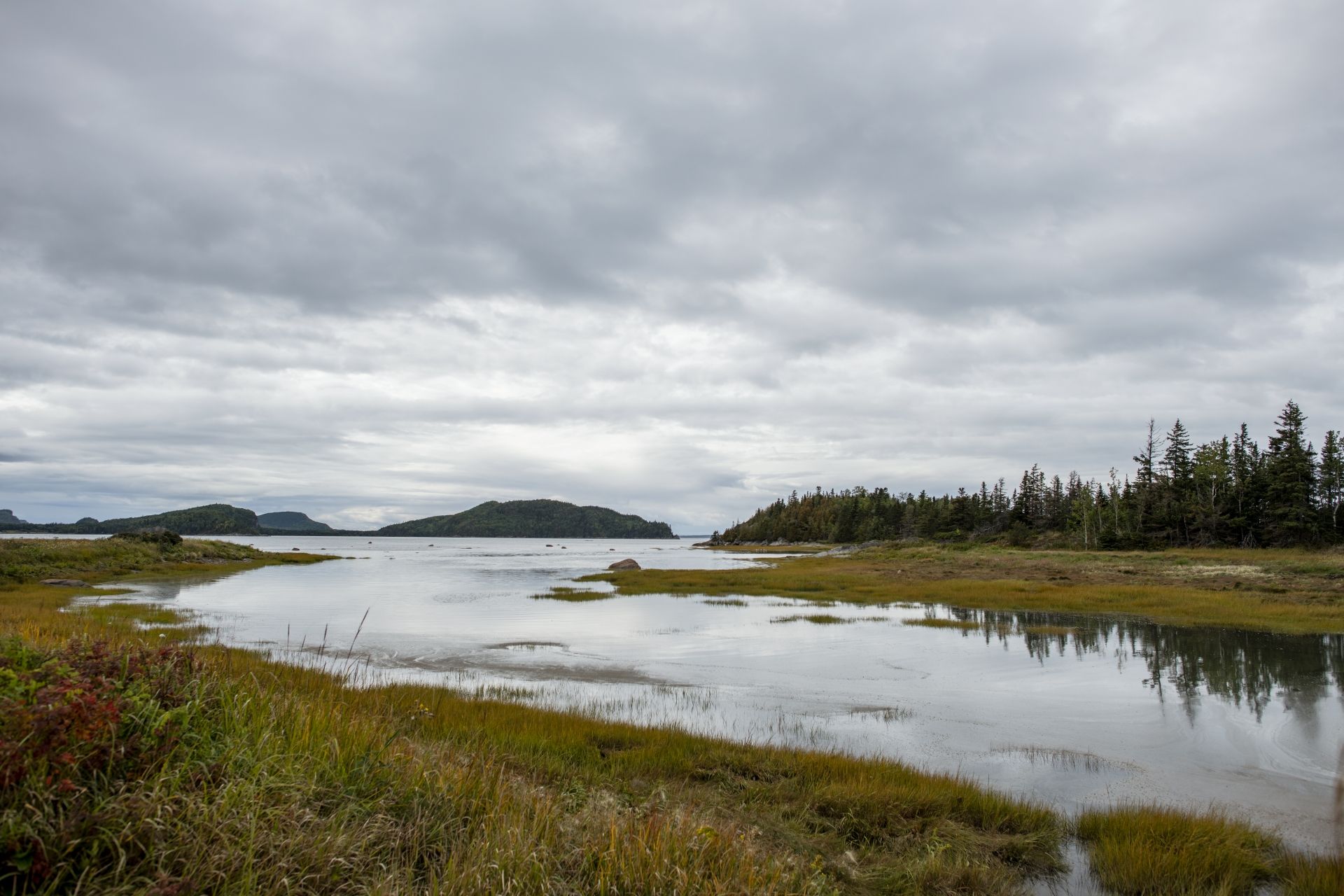 Moerasachtig rivierlandschap in Parc national du Bic in Quebec, Canada, onder een bewolkte hemel met water, grasrijke oevers en bomen in de verte.
