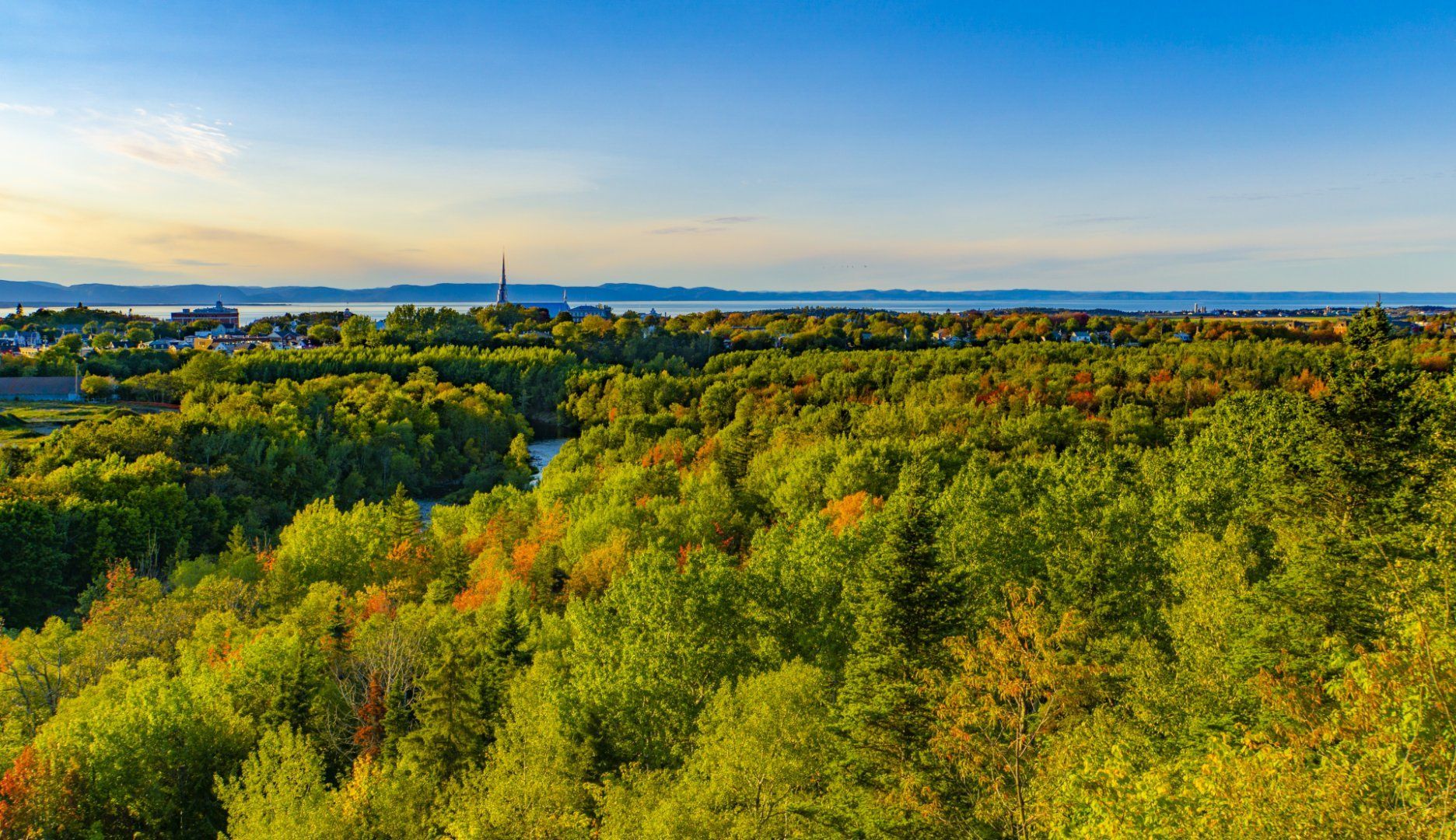 Het bladerdak van een zonovergoten bos met herfstkleuren strekt zich uit tot aan de skyline van Riviere-du-Loup in Quebec, Canada, in de verte onder een blauwe hemel.