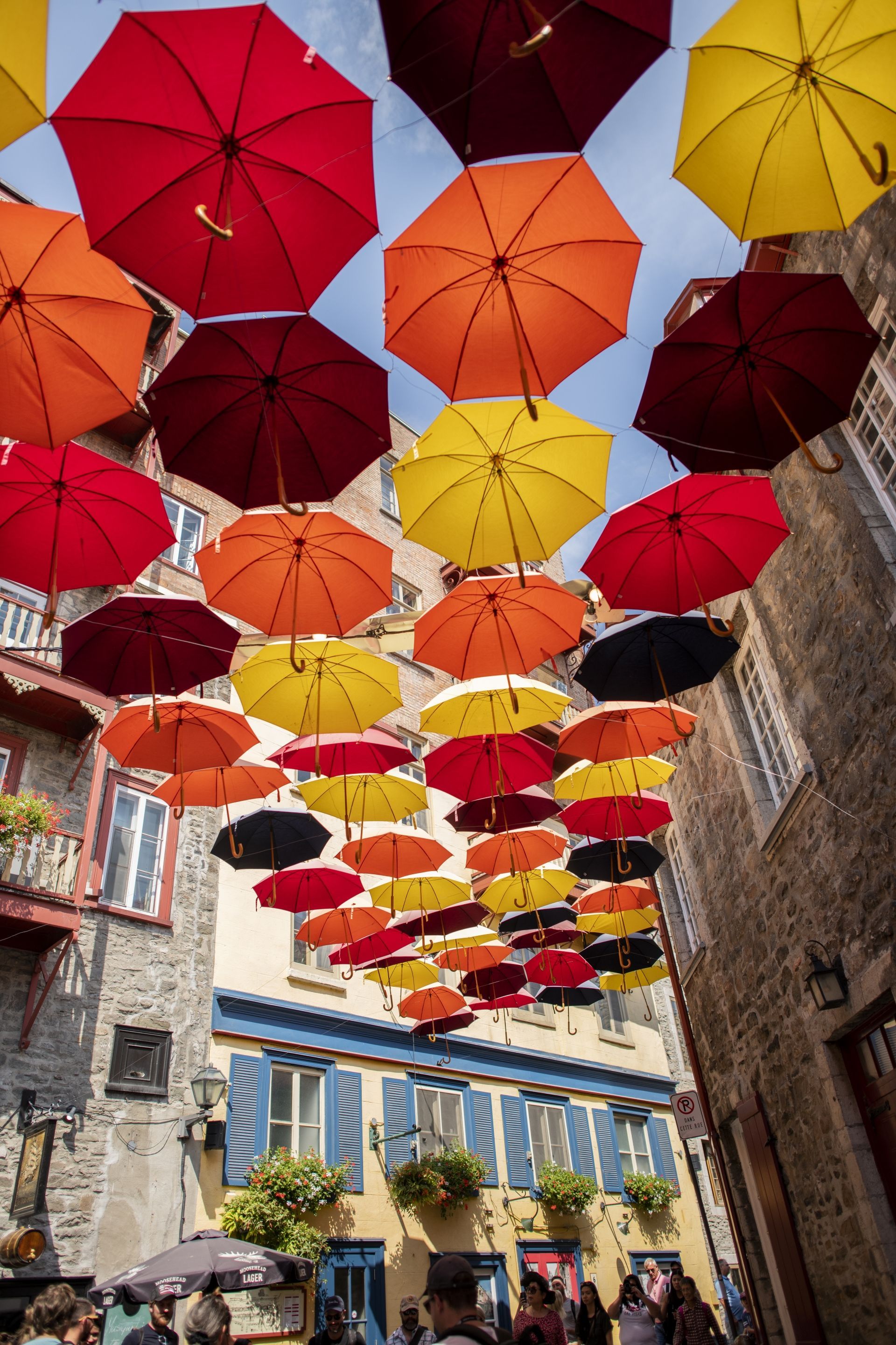 Kleurrijke paraplu's hangen boven het hoofd in een smalle straat in Québec tussen oude gebouwen onder een heldere hemel.