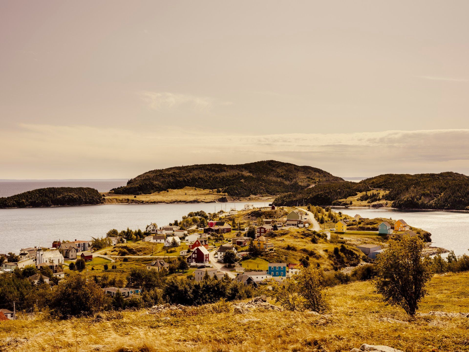 Trinity Bay, Newfoundland Canada, met verspreide huizen, gouden velden en lage eilandjes onder een nevelige hemel.