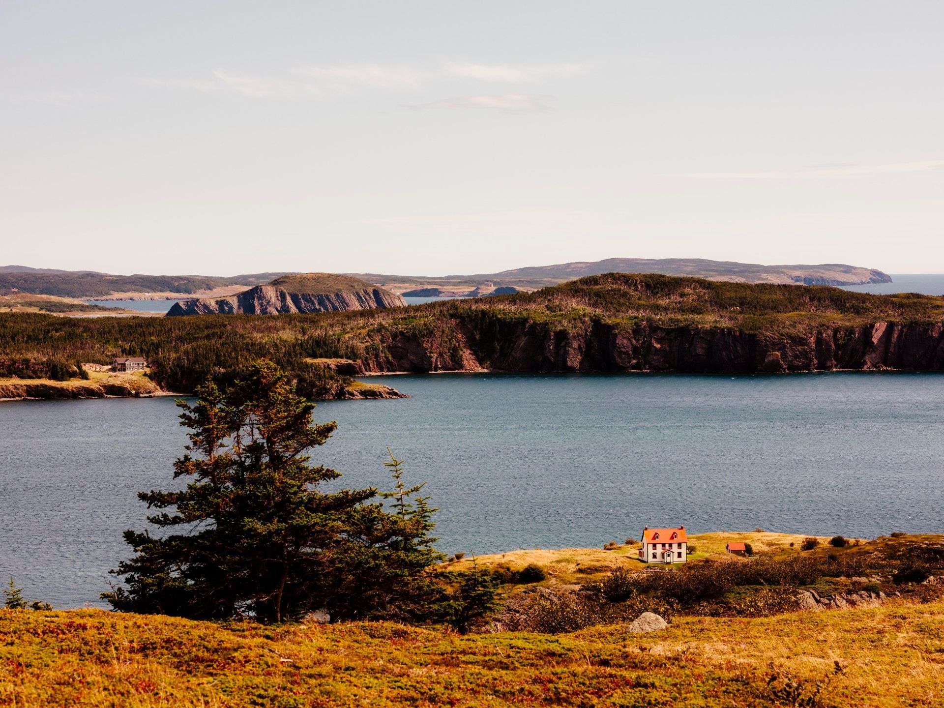 Het kustlandschap van Trinity Bay, Newfoundland, met een kalme blauwe inham, rotsachtige heuvels en een klein huisje met een rood dak aan een goudkleurig grasveld.