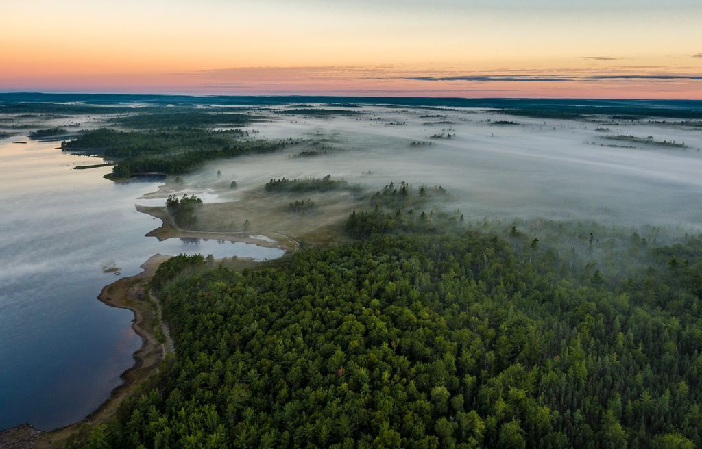 Luchtfoto van de mistige, beboste kustlijn van het Kejimkujik National Park op Nova Scotia naast kalm water bij zonsopgang.