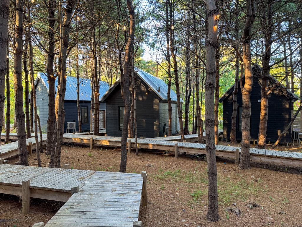 Het resort Black Forest Cabins in Mahona Bay op Nova Scotia met blokhutten in het bos, bestaande uit donkerhouten huisjes en een houten wandelpad tussen hoge dennenbomen.