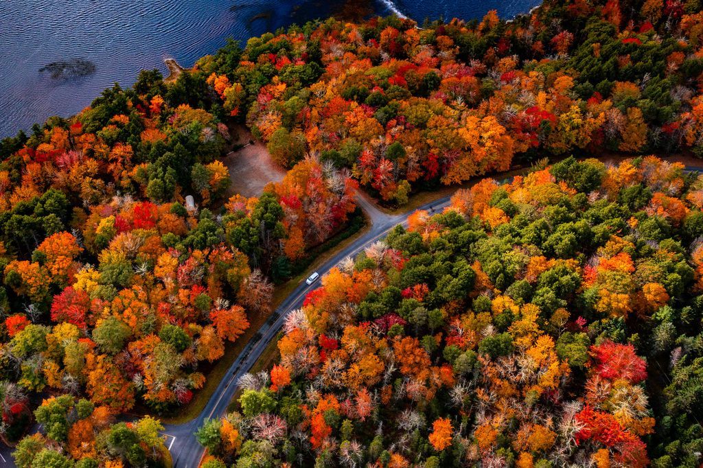 Een kronkelende weg door het kleurrijke herfstbos in Kejimkujik National Park op Nova Scotia langs een blauw meer tijdens Indian Summer.