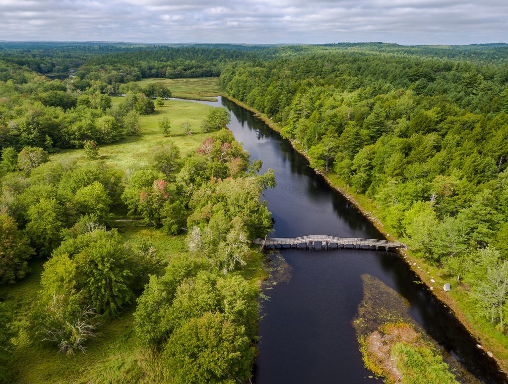 Een smalle rivier door een dicht groen bos met een kleine brug eroverheen in het Kejimkujik National Park op Nova Scotia.