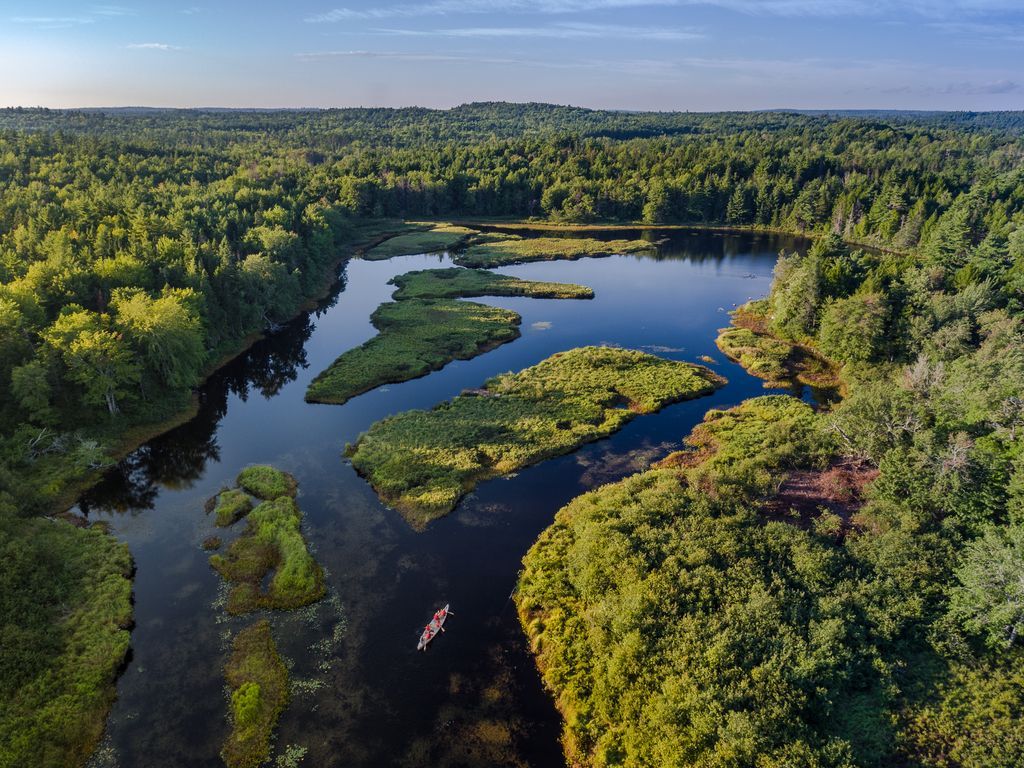 Een kronkelende rivier in het Kejimkujik National Park op Nova Scotia met twee kanovaarders door een dicht groen bos onder een heldere blauwe hemel.