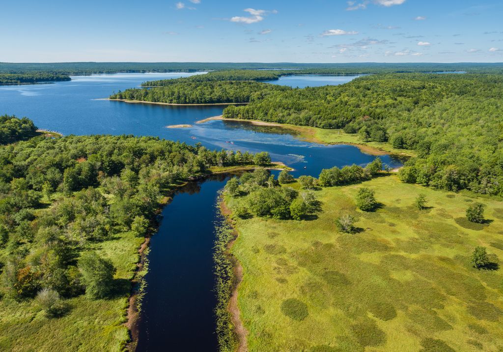 Een kronkelende blauwe rivier in het Kejimkujik National Park op Nova Scotia door groene moerasgebieden onder een heldere hemel.