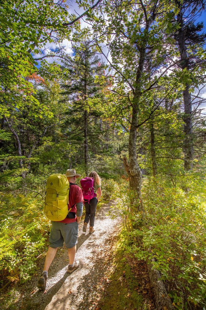 Twee wandelaars met rugzakken lopen over een zonnig bospad door het Kejimkujik National Park op Nova Scotia.