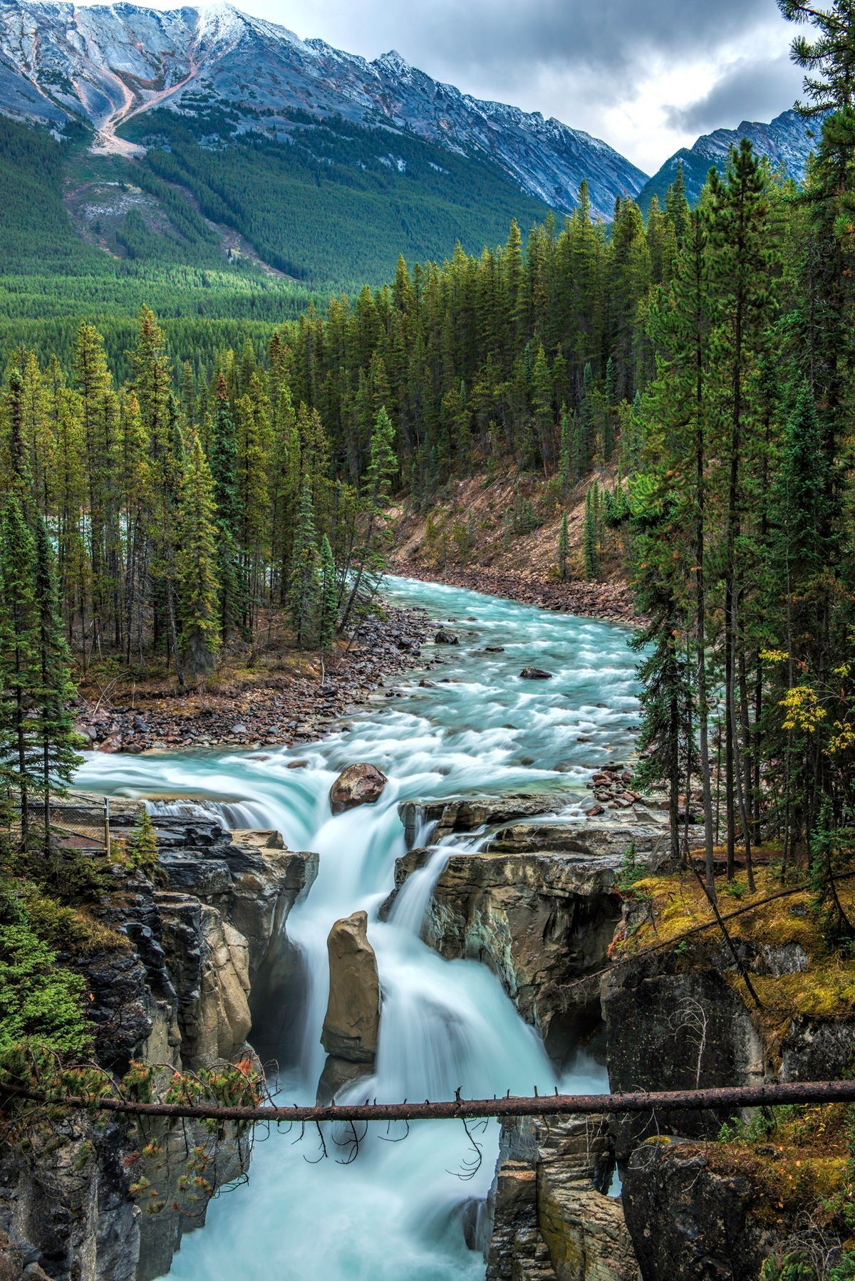 Sunwapta Fall  aan de Icefields Parkway in een beboste vallei met besneeuwde bergtoppen op de achtergrond.