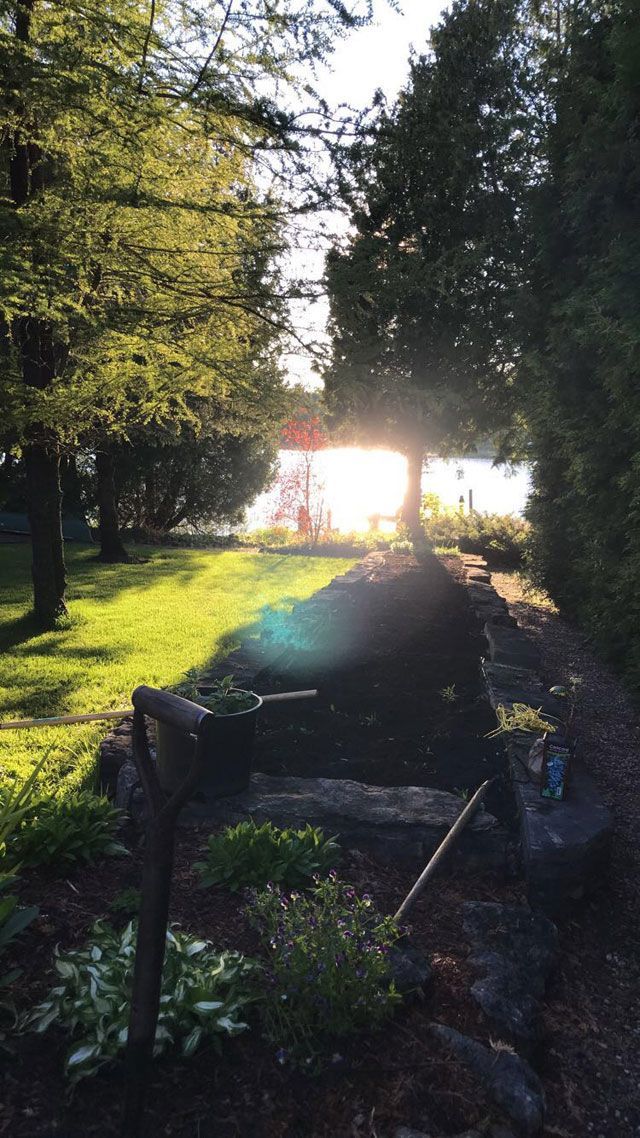 Zonnig parkpad met bomen en bankjes, met uitzicht op helder water in de verte.