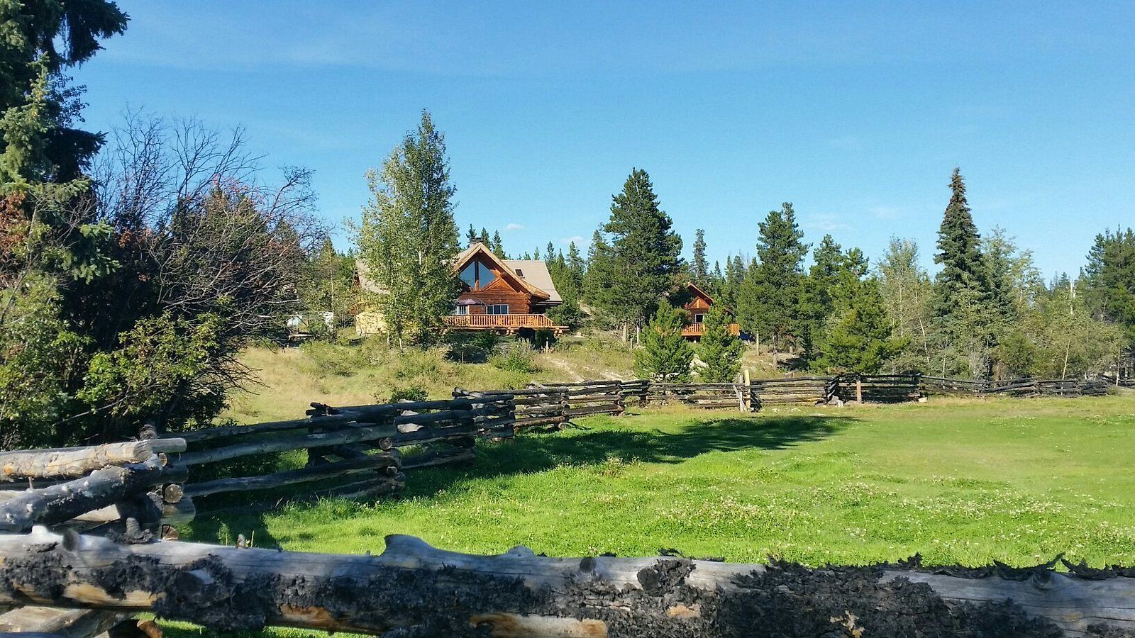 Houten hut in een zonnig groen veld, omringd door bomen en een rustiek hek onder een blauwe hemel.