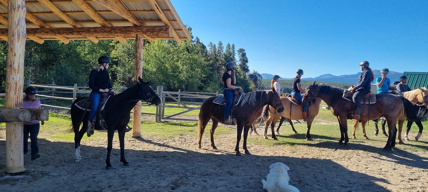 Ruiters te paard verzamelden zich onder een rustieke schuilplaats langs een graspad in het heldere daglicht.