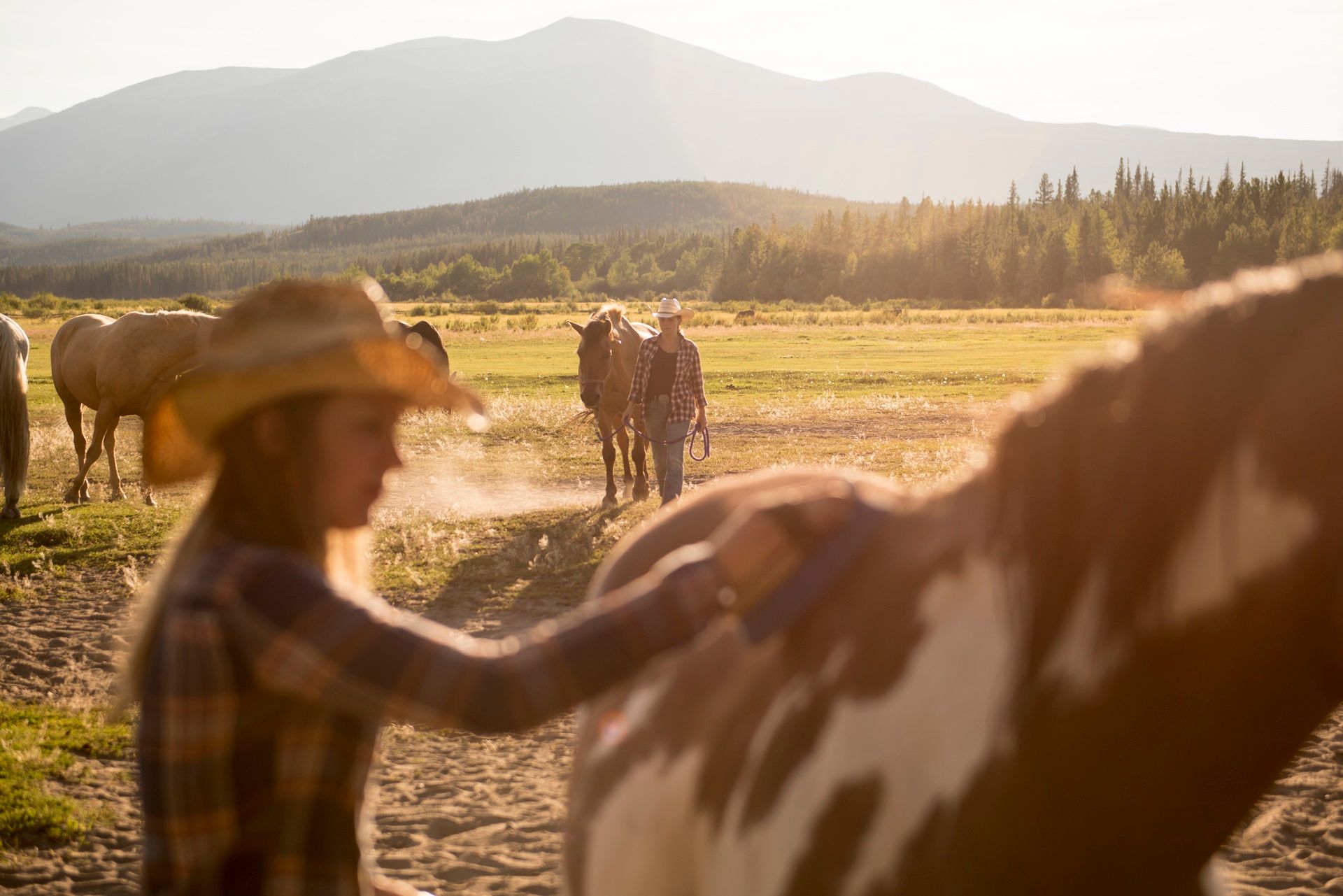 Een persoon met een cowboyhoed aait een bruin-wit paard in een zonovergoten weiland van Terra Nostra Guest Ranch met bergen op de achtergrond.