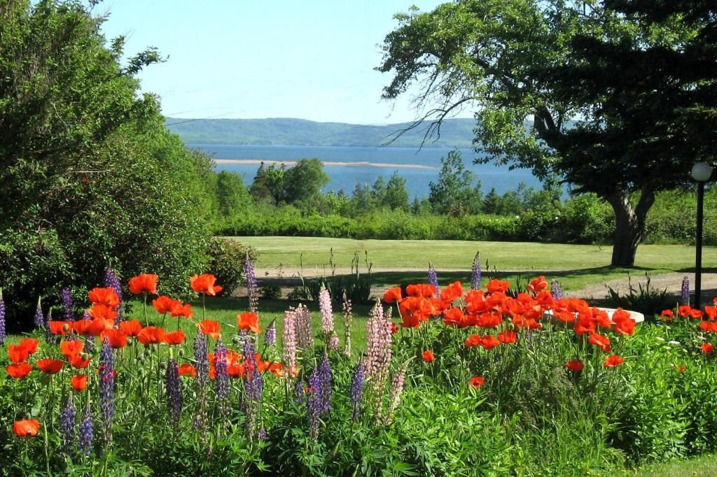 Kleurrijk bloembed met bomen en een meer op de achtergrond onder een helderblauwe hemel.
