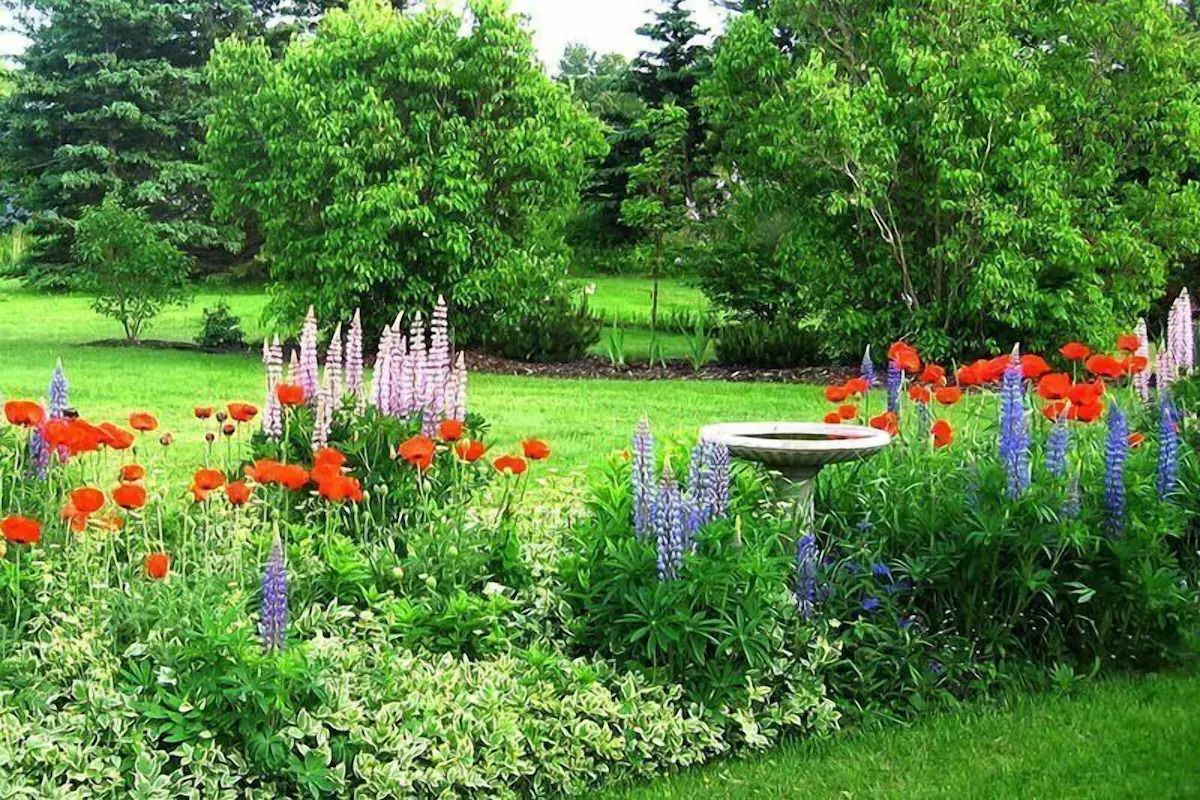 Een kleurrijke bloementuin met rode, roze en paarse bloemen, een groen gazon en bomen op de achtergrond.