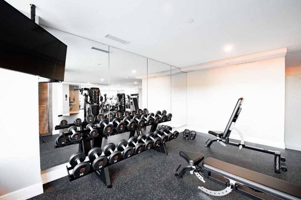 Moderne thuisgym met halterrekken, spiegelwand en halterbank op een vloer met vloerbedekking.