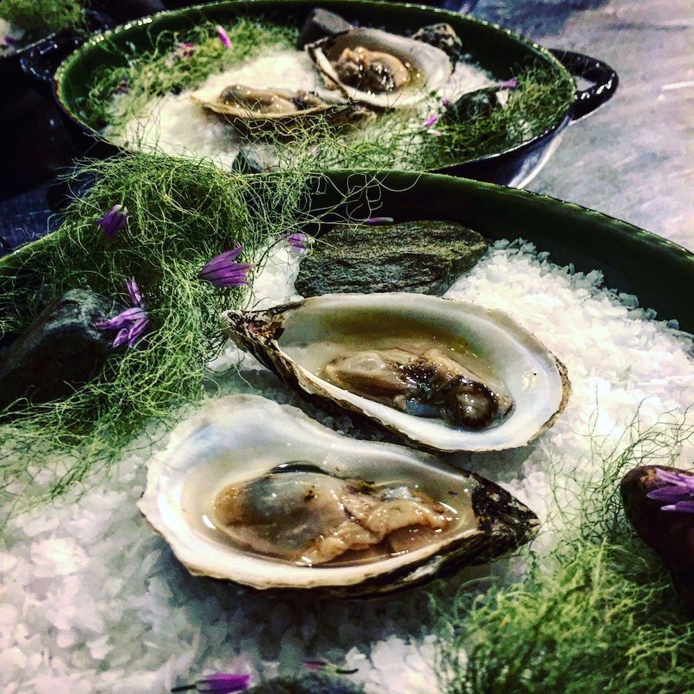 Verse oesters op ijs met groene garnering en paarse bloemen in zwarte serveerschalen.