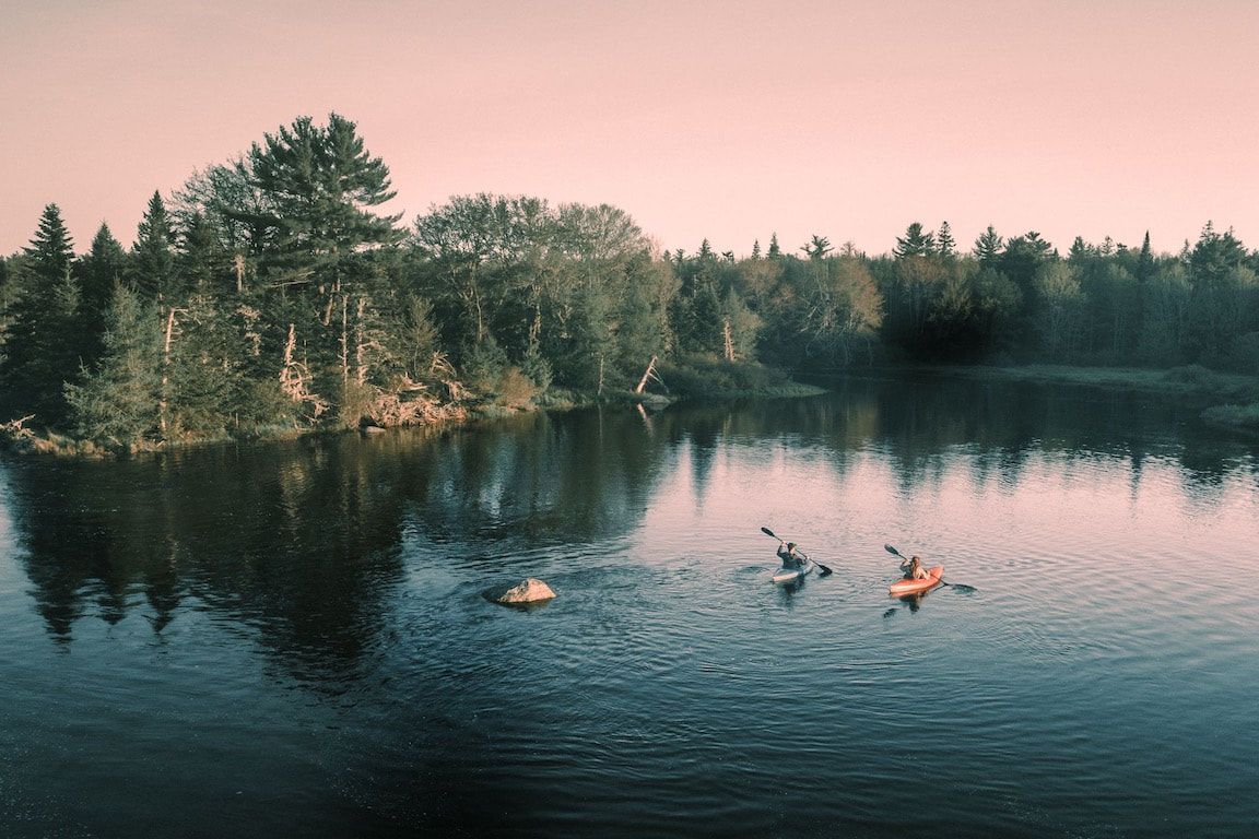 Een kalm meer bij zonsondergang met dennenbomen aan de oever en vogels die over het water vliegen.